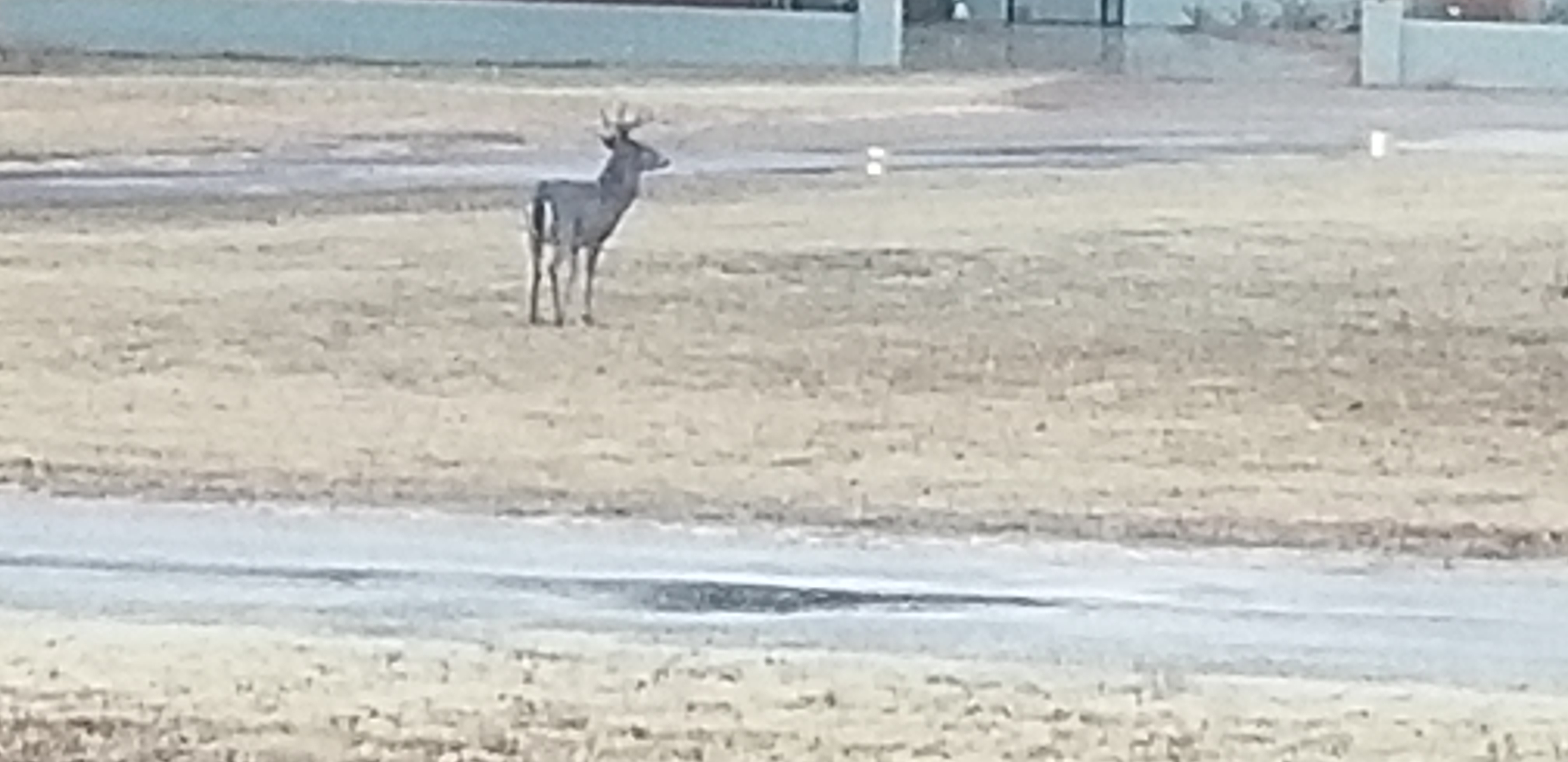 20201128_170459.jpg