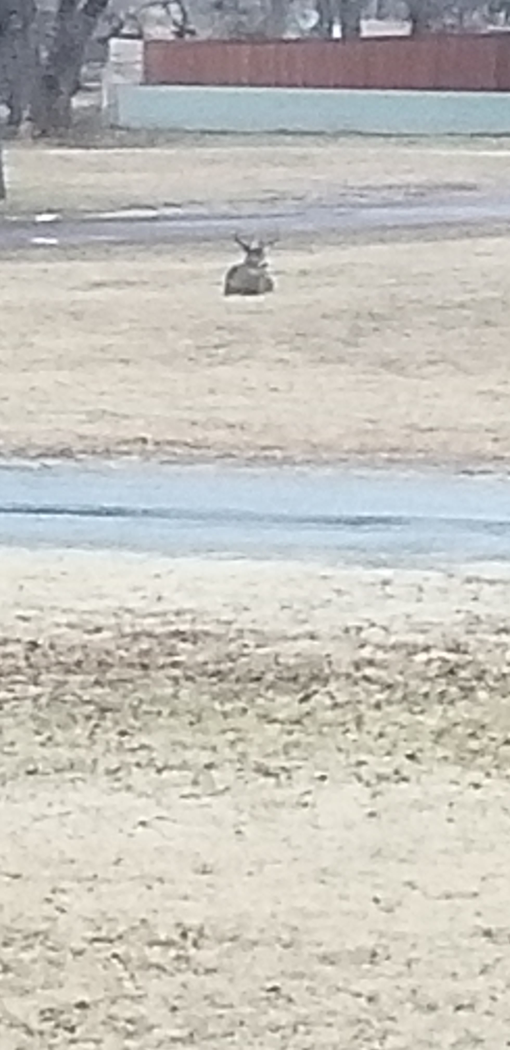 20201128_171107.jpg