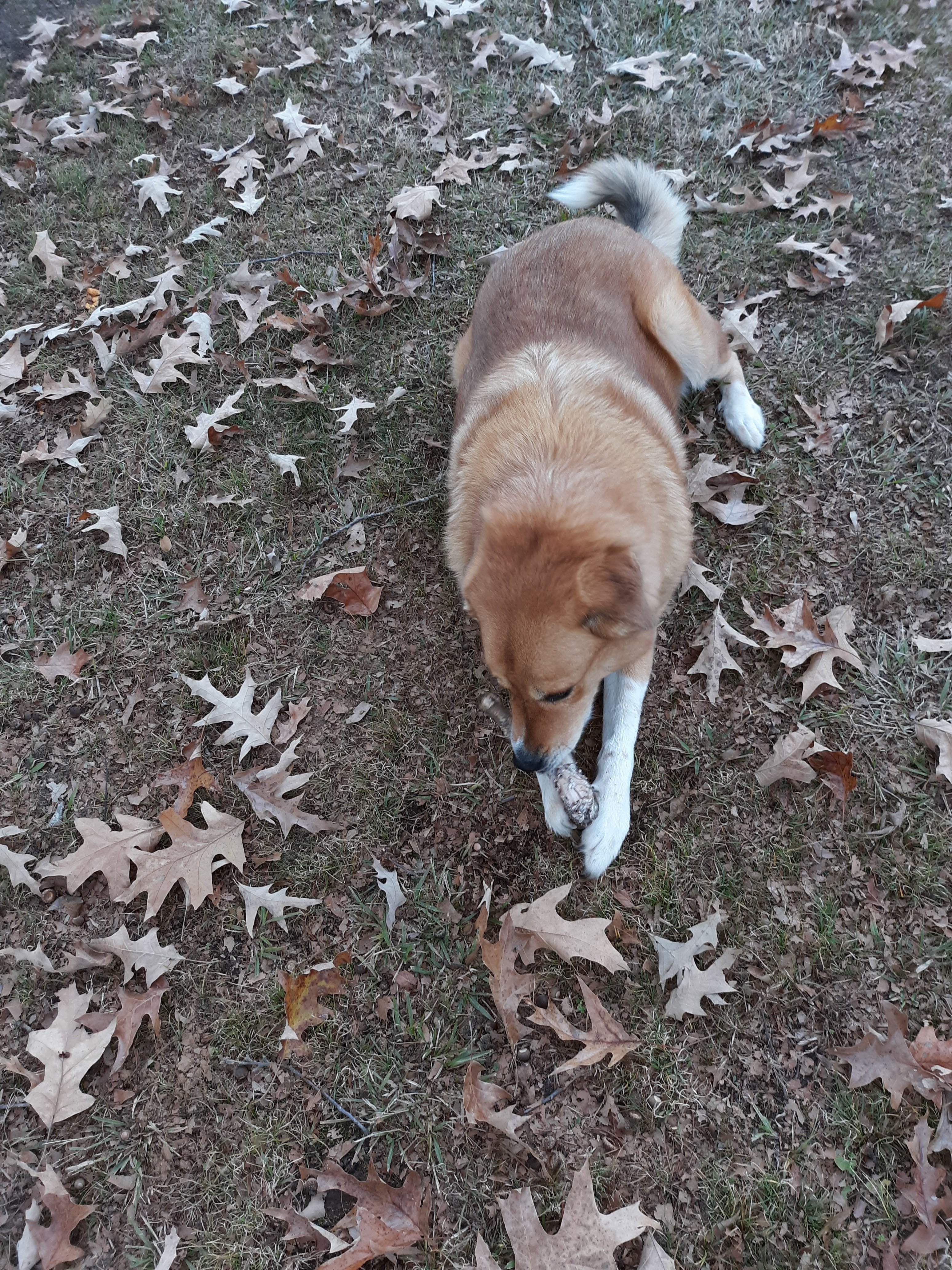 20201209_161620.jpg