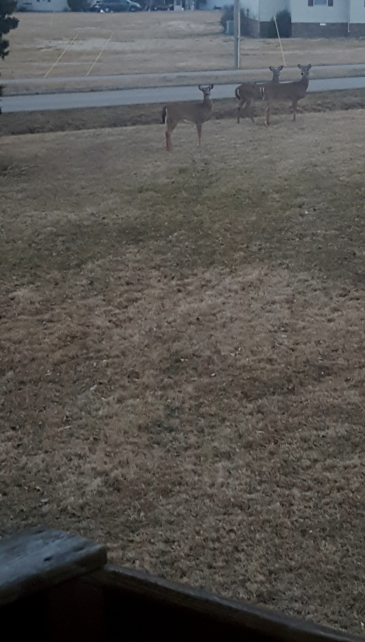 20210226_074251.jpg