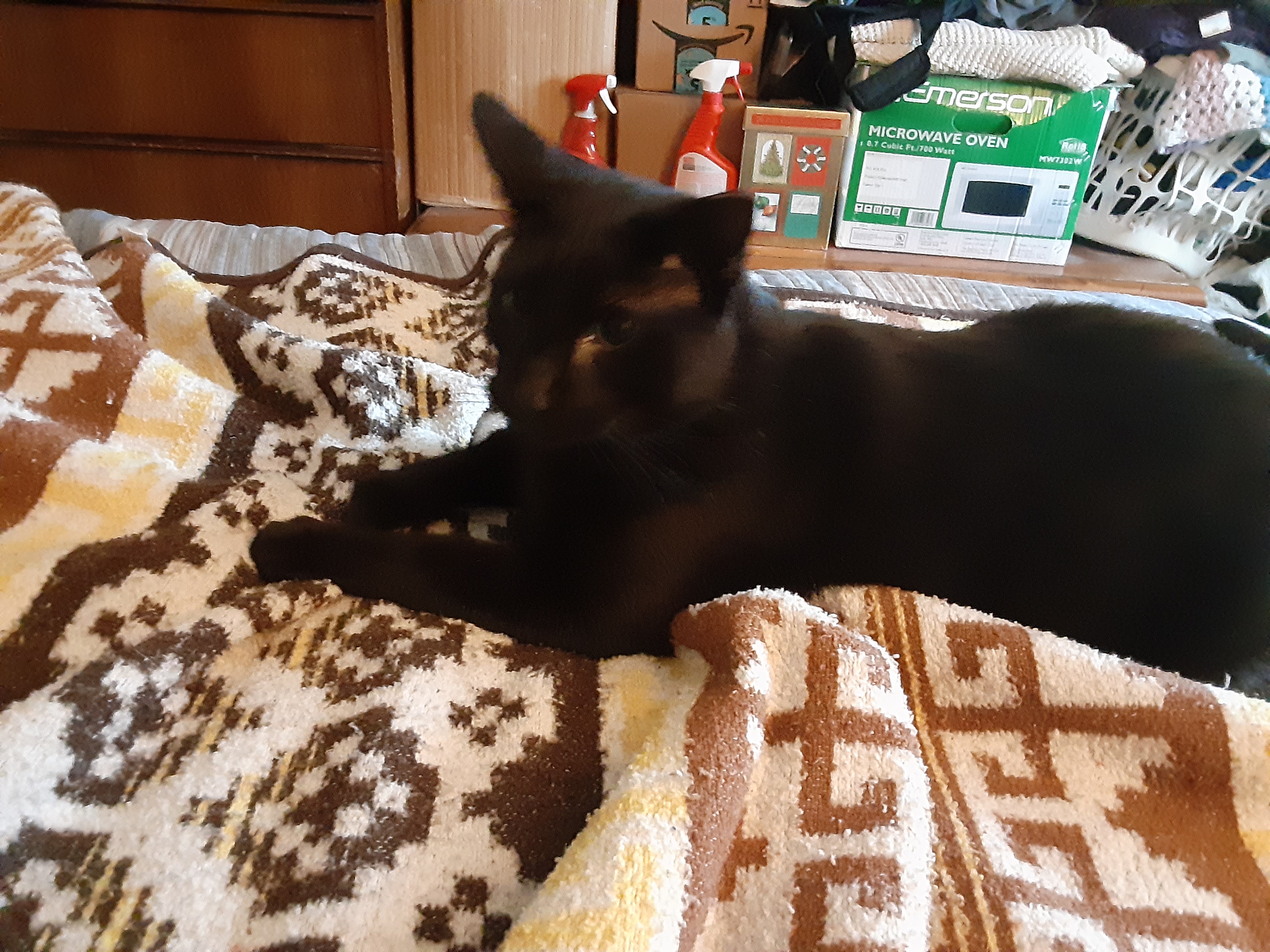 20220307_160840.jpg