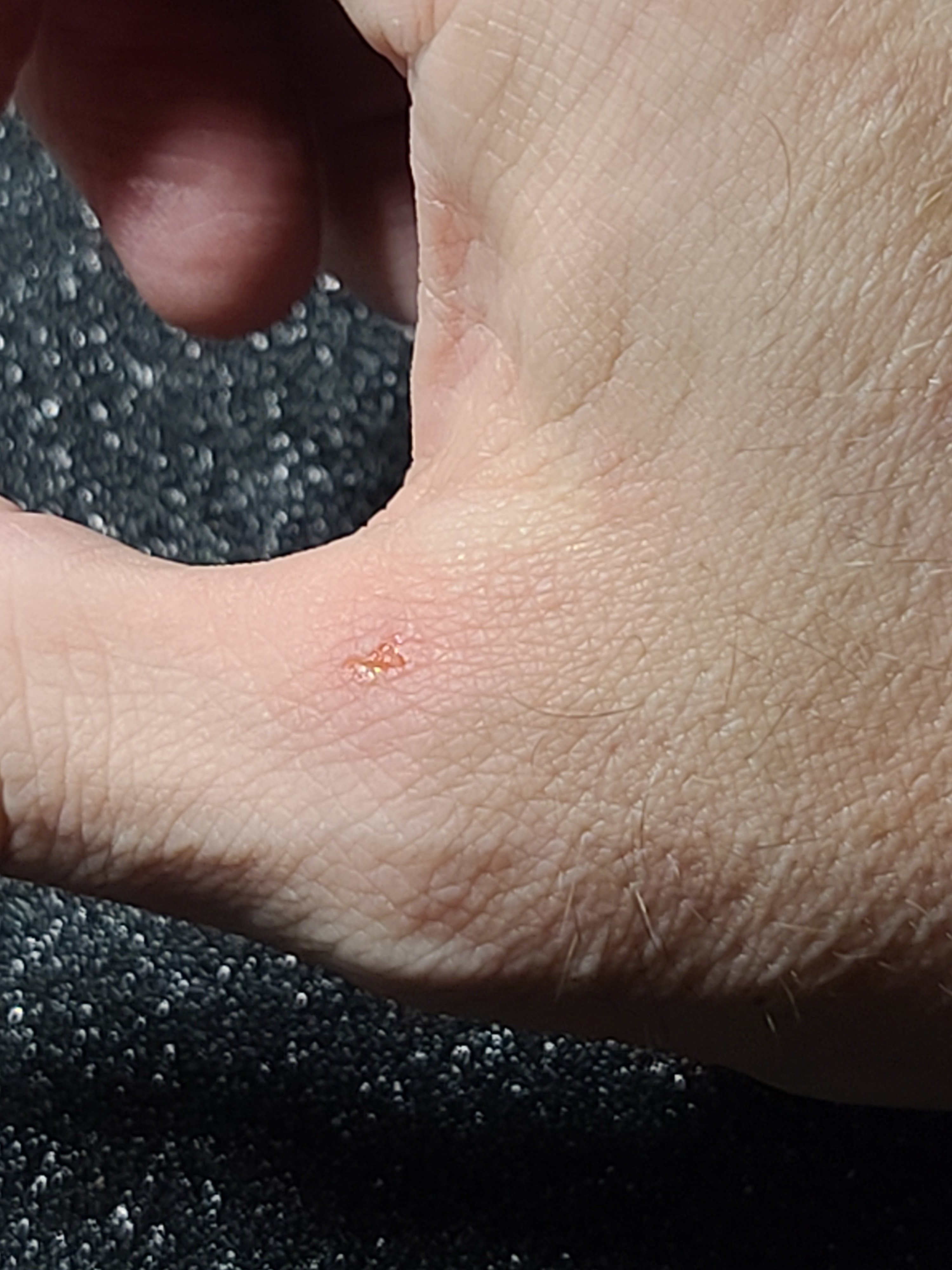 20220901_211350.jpg