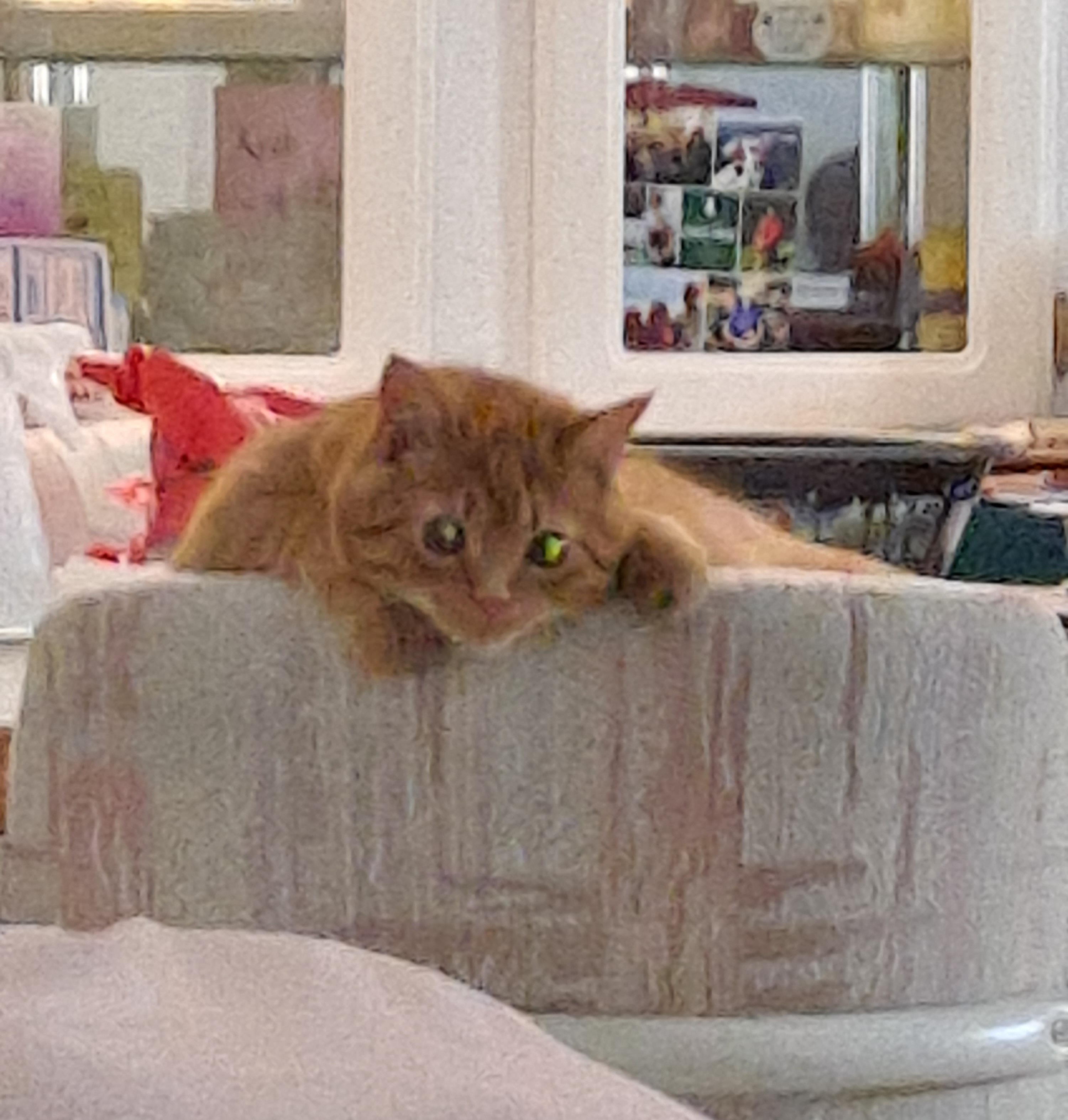 20221025_155420.jpg
