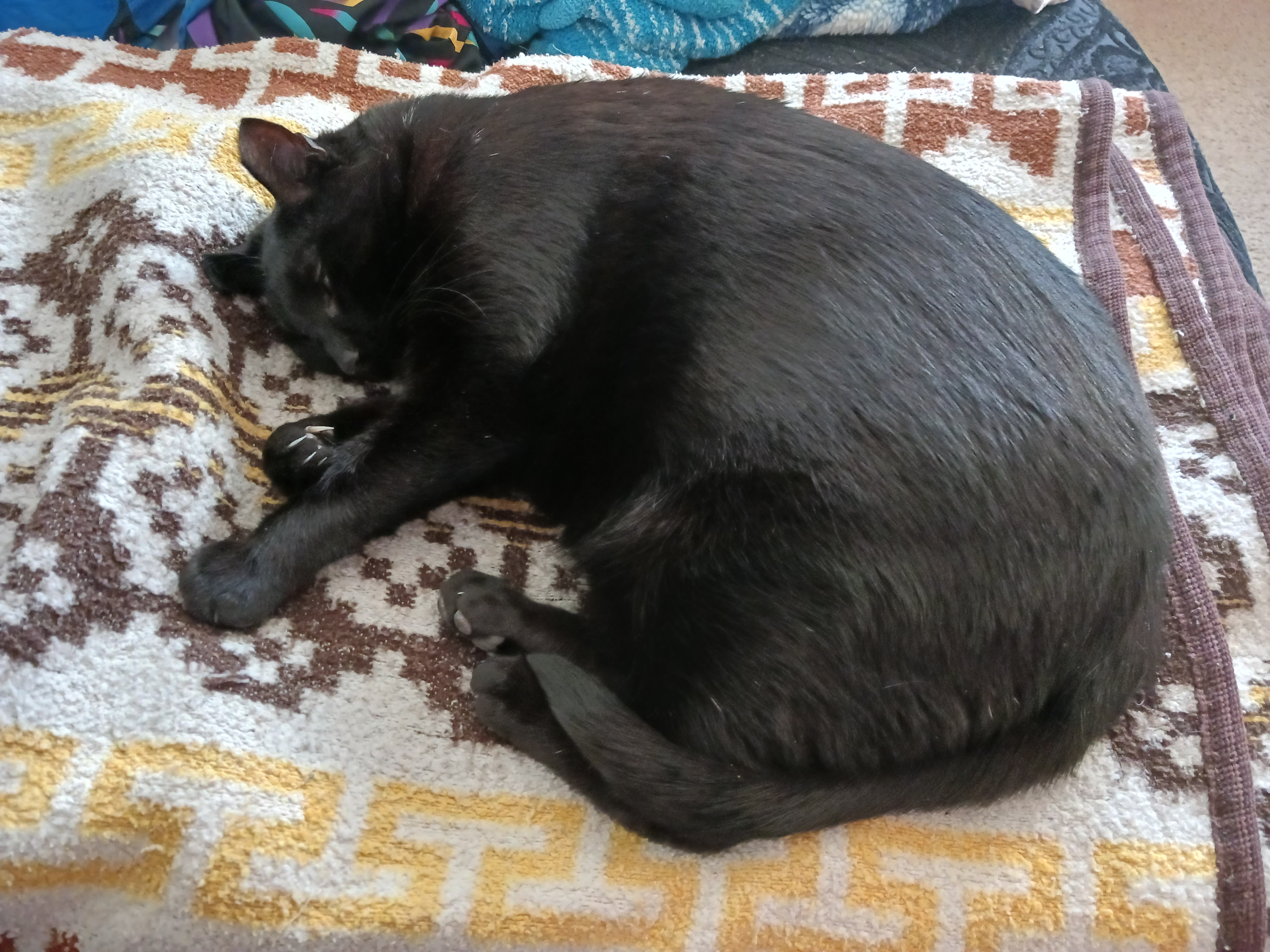 20230213_085450.jpg