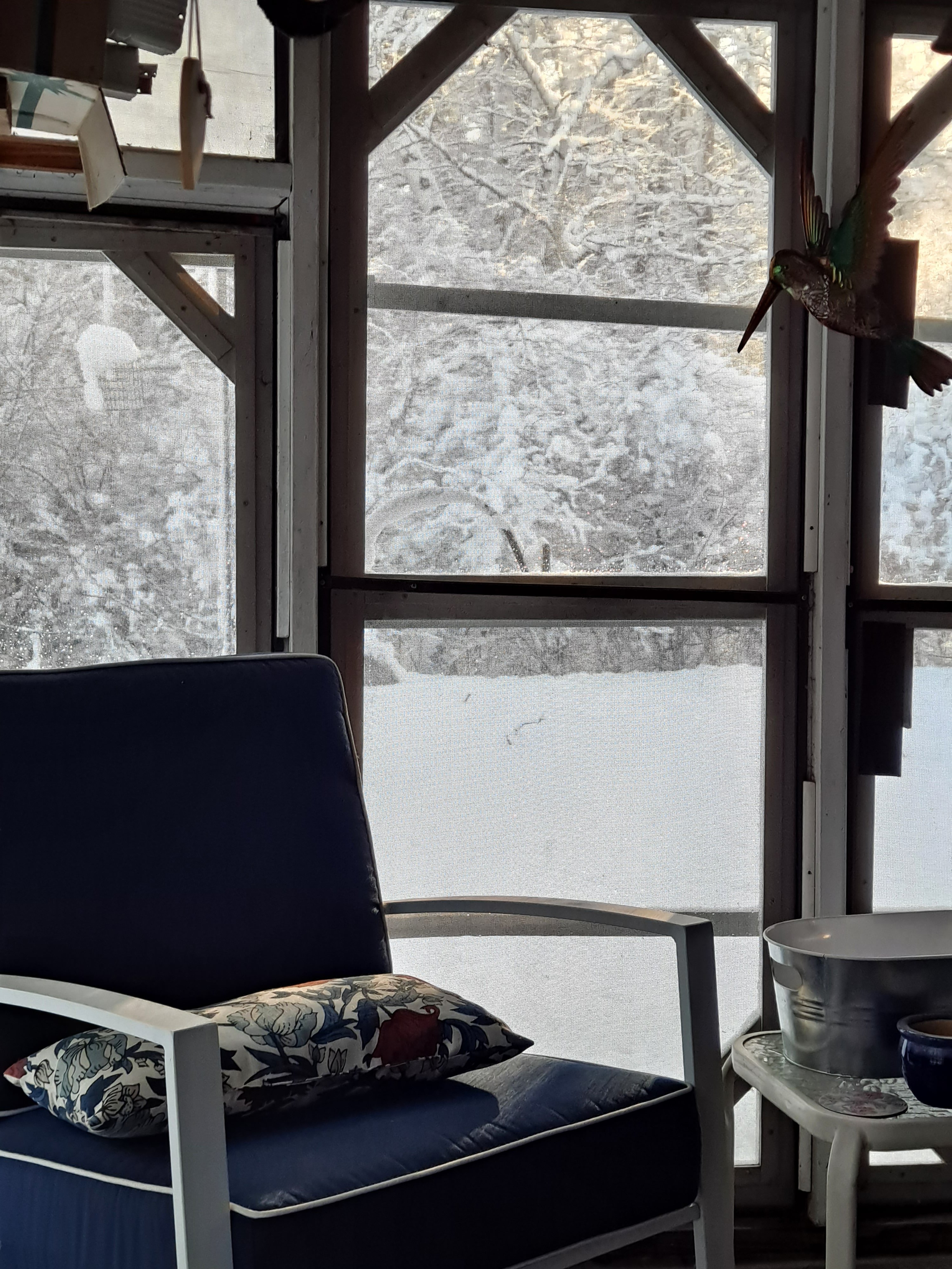 20230304_083011.jpg