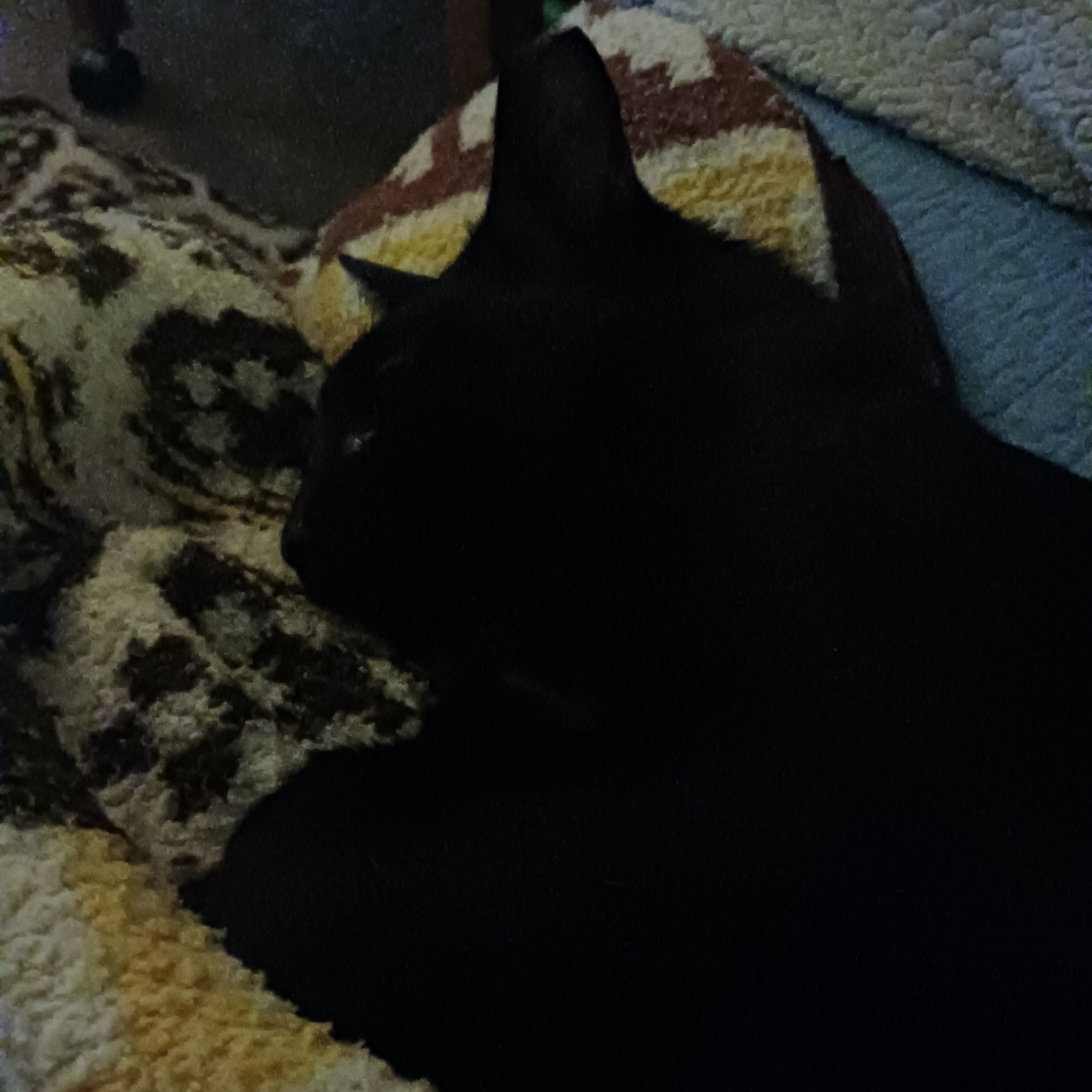 20230911_220319.jpg