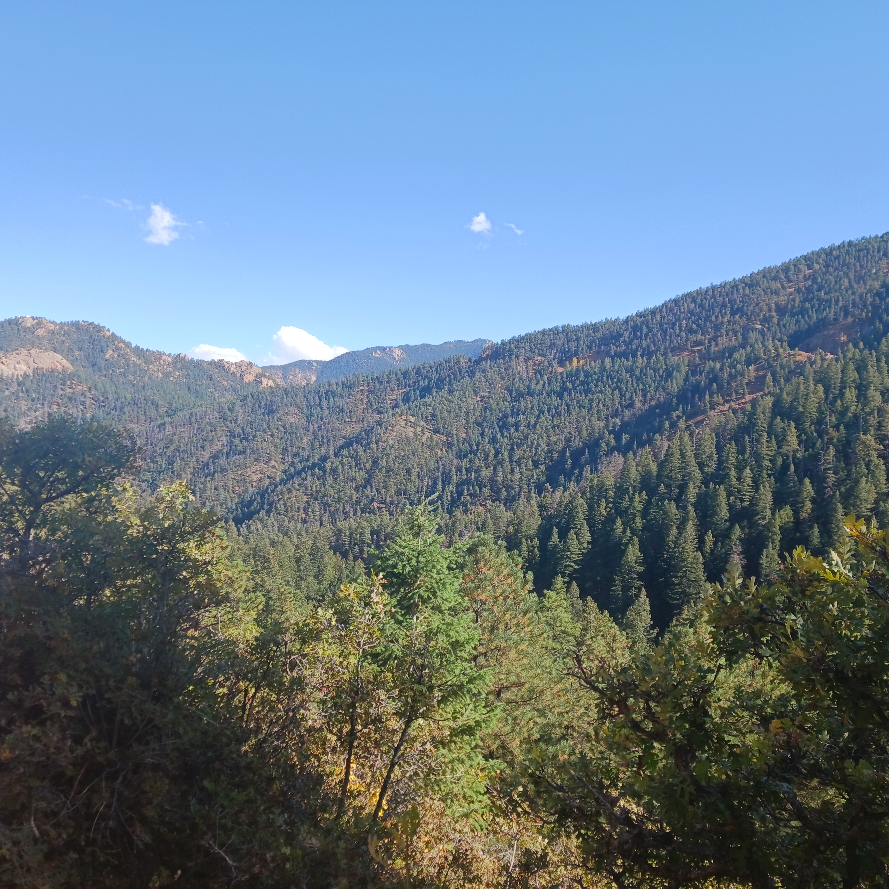 20231001_152235.jpg