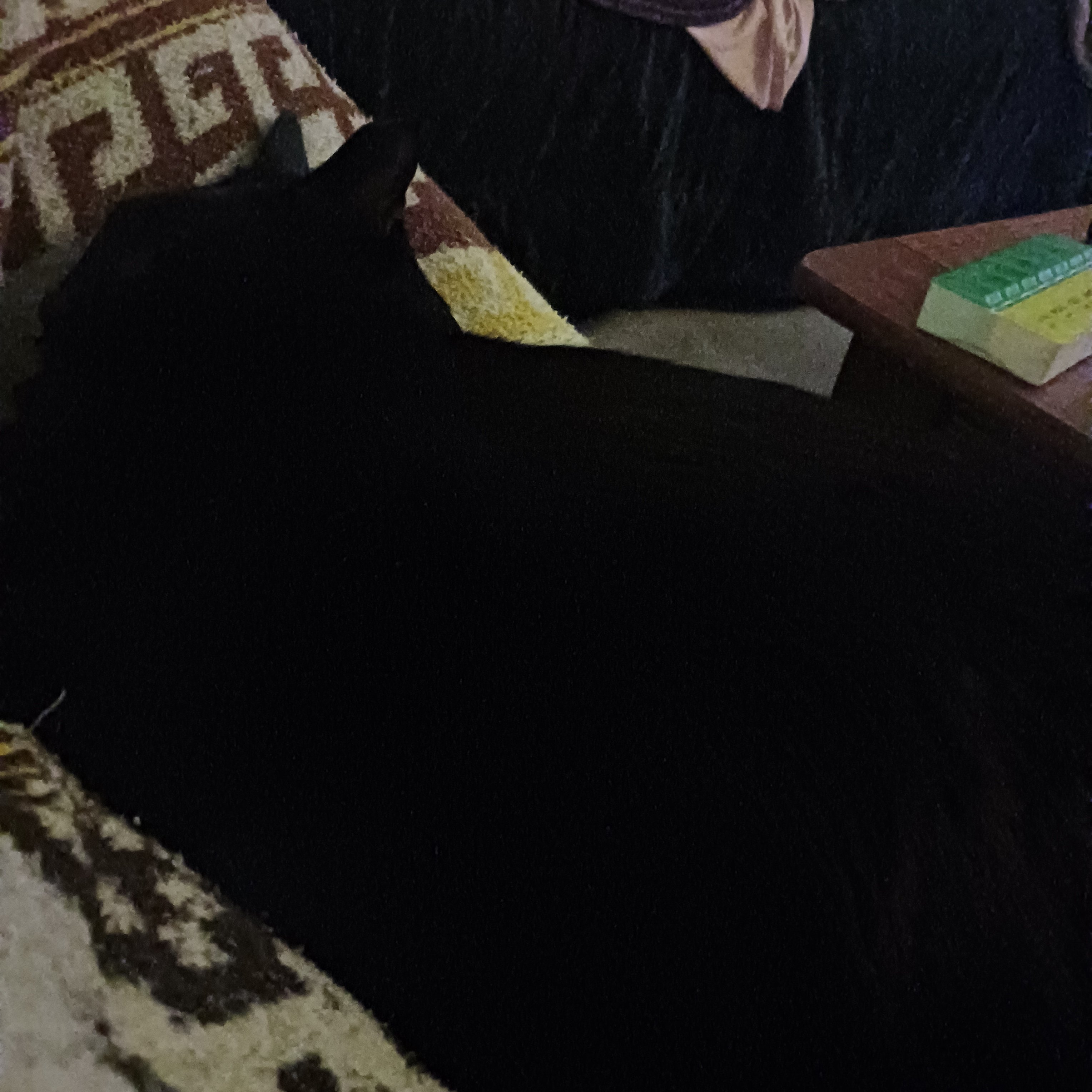 20240930_215742.jpg