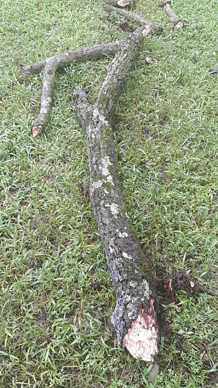 20250615_084610.jpg
