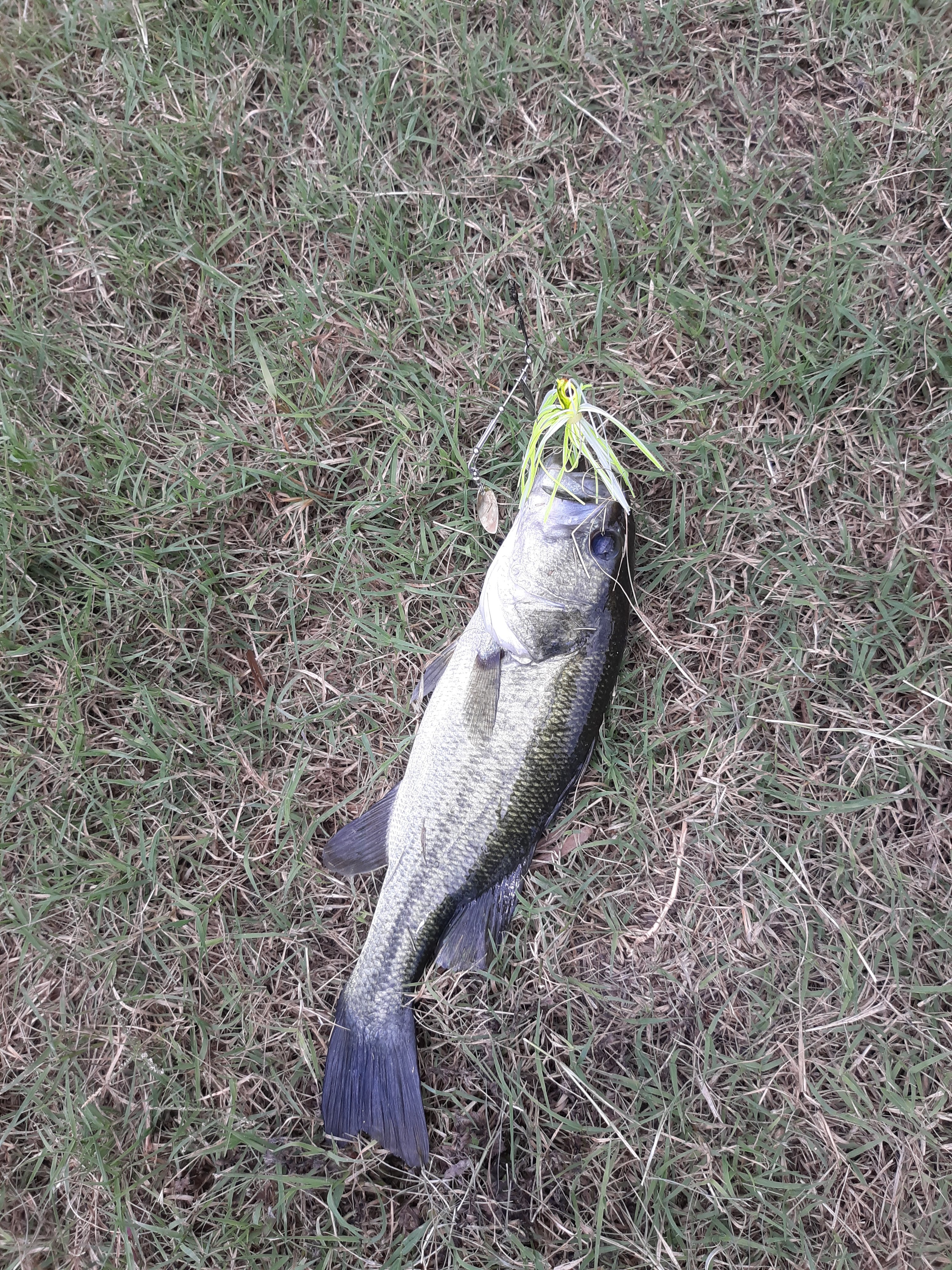 20250713_143731.jpg