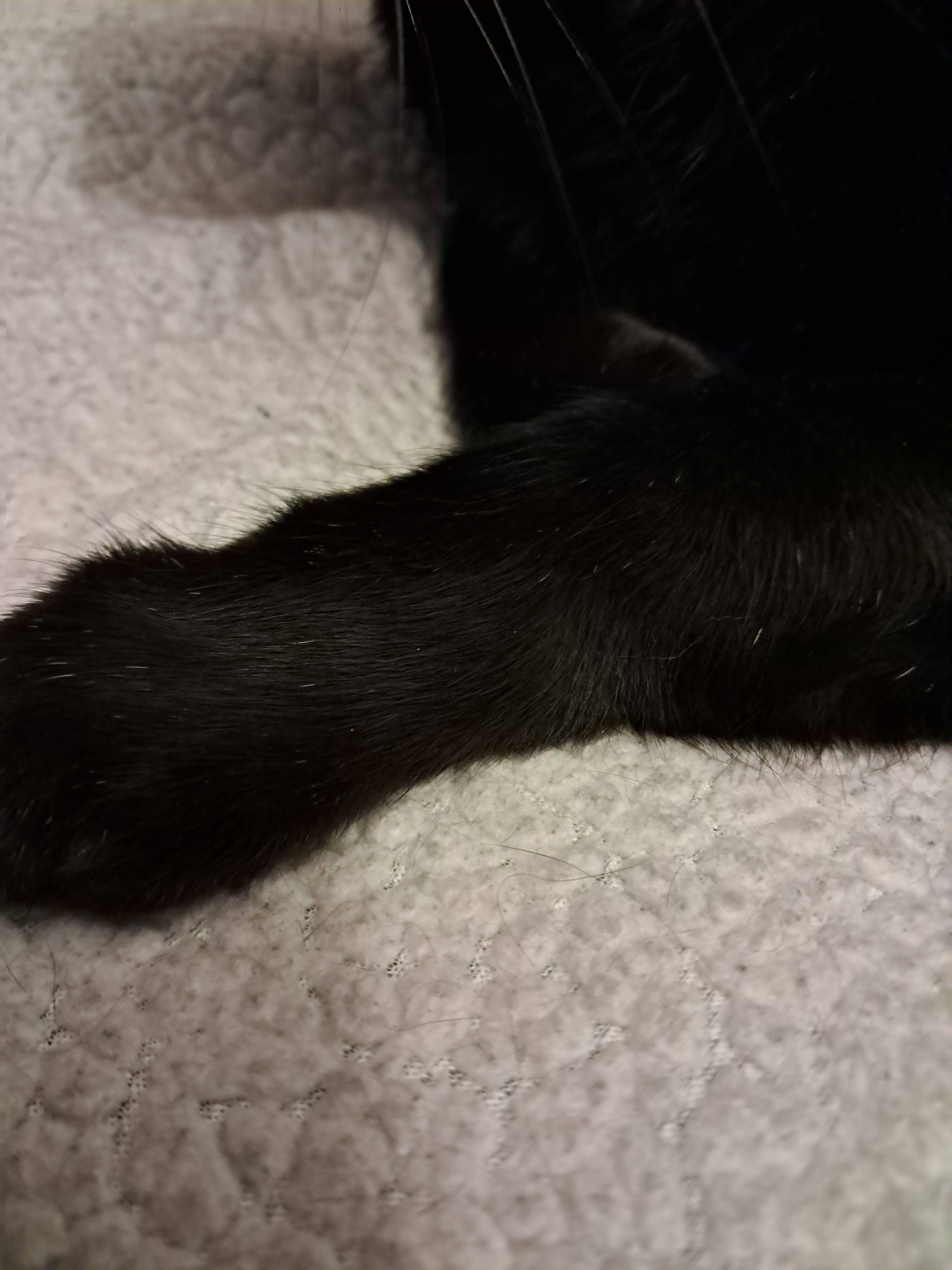 20250717_172650.jpg