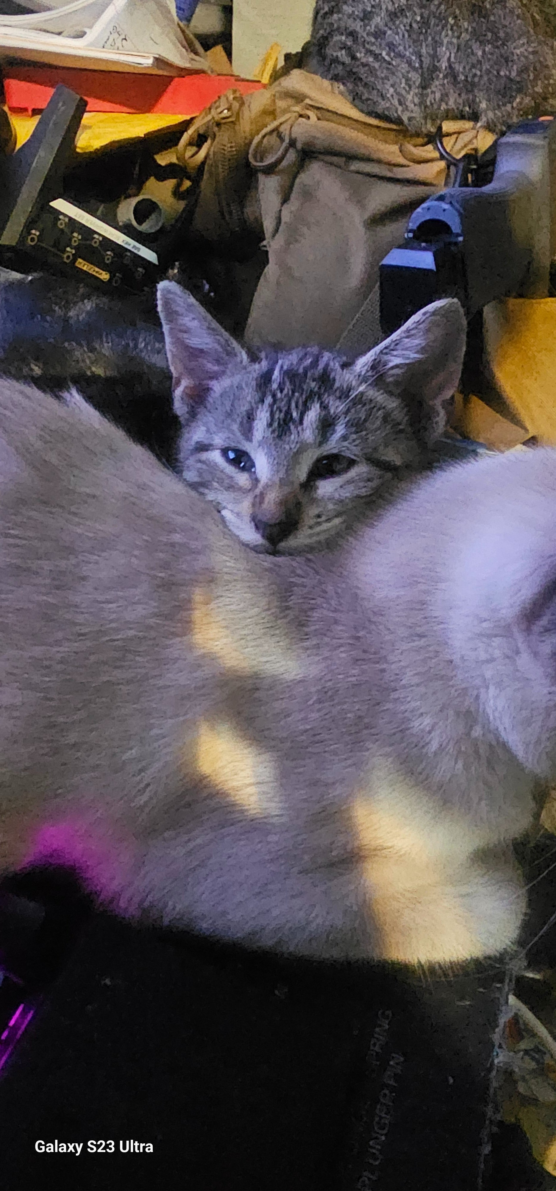 20250726_014237.jpg