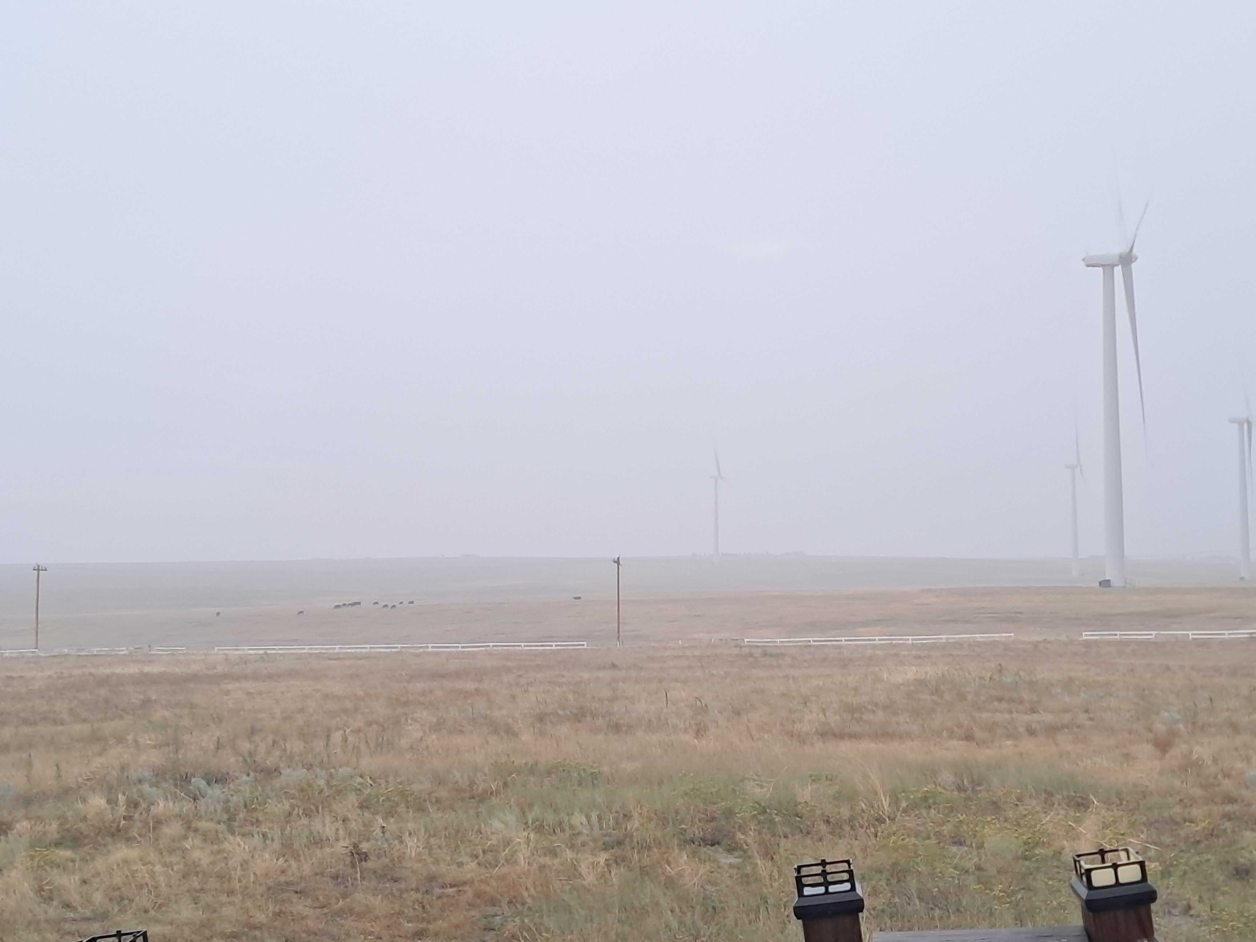 20250822_190327.jpg