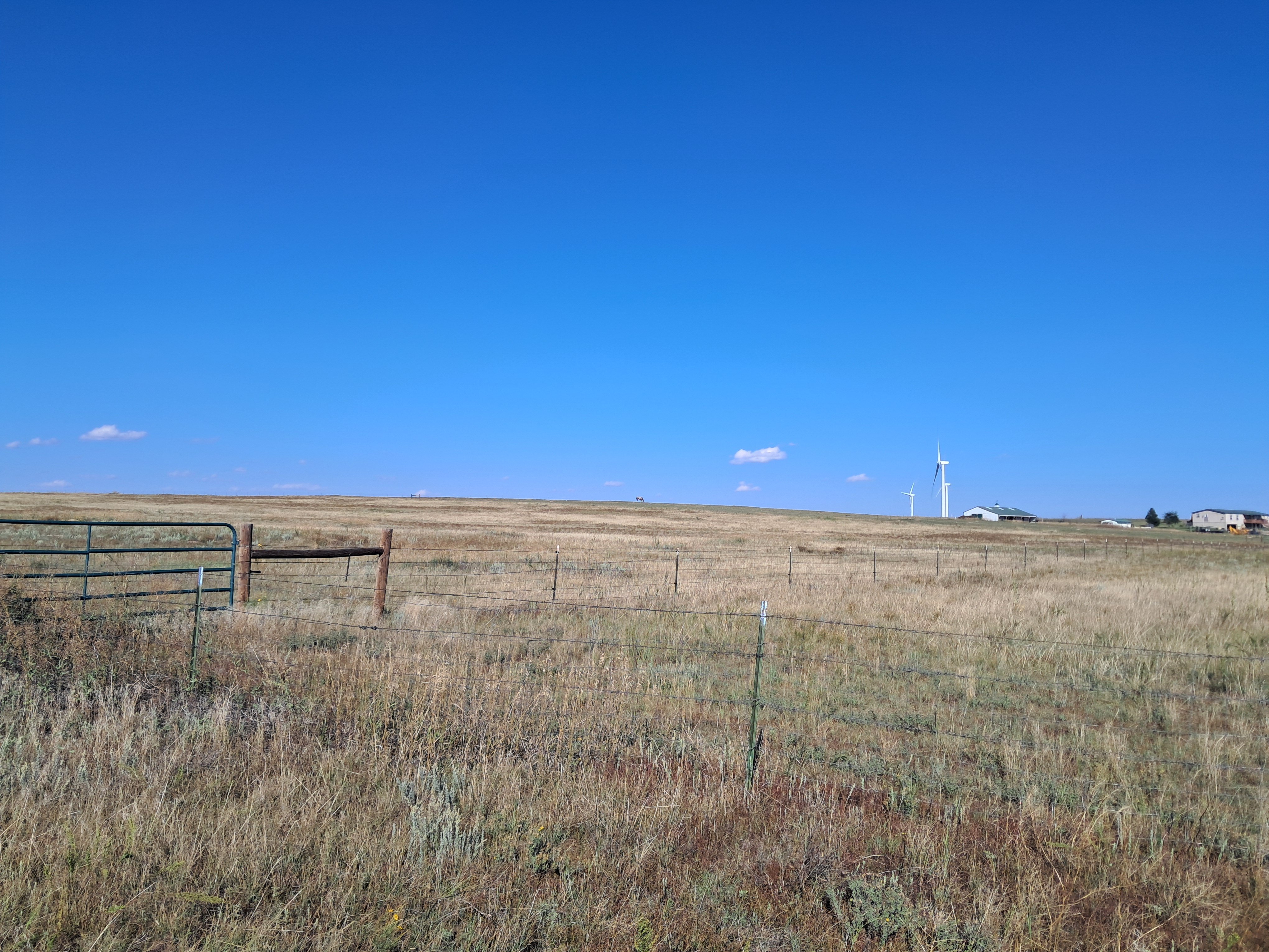20250831_163740.jpg