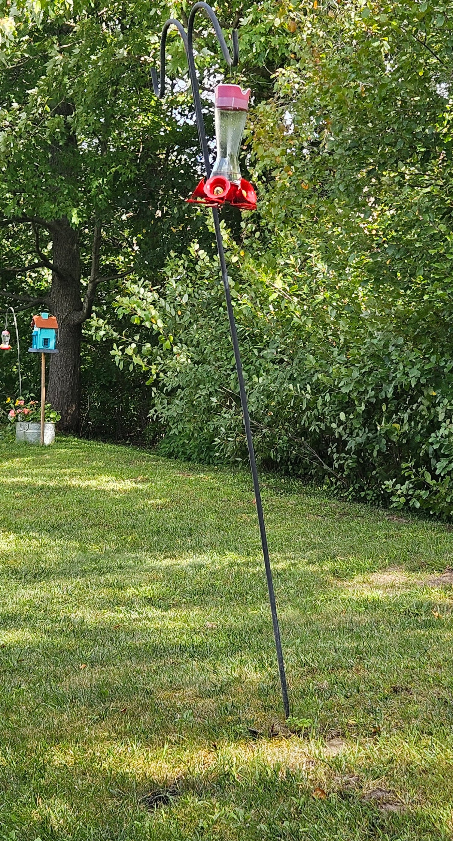 20250903_115206.jpg