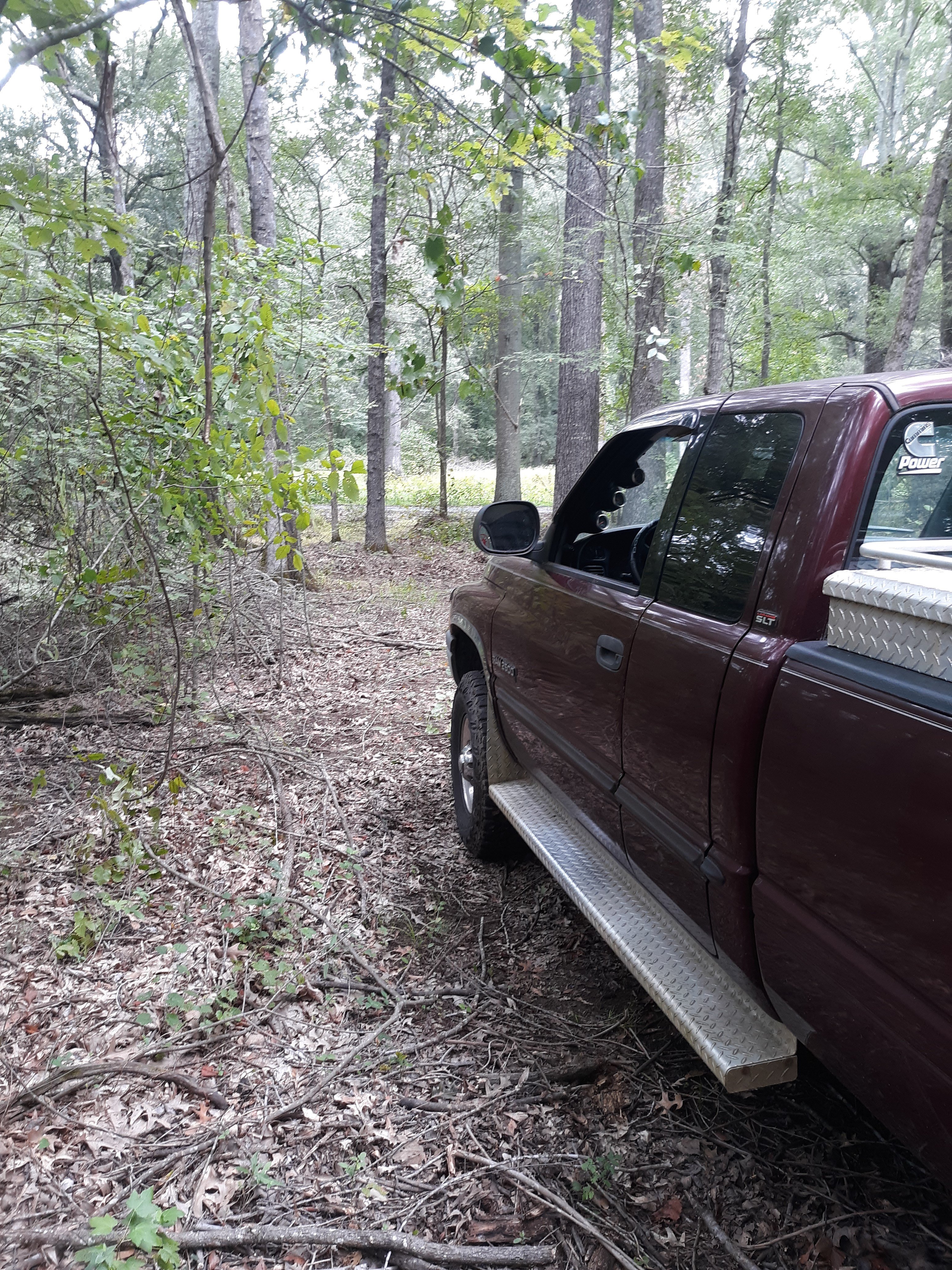 20250904_101918[1].jpg