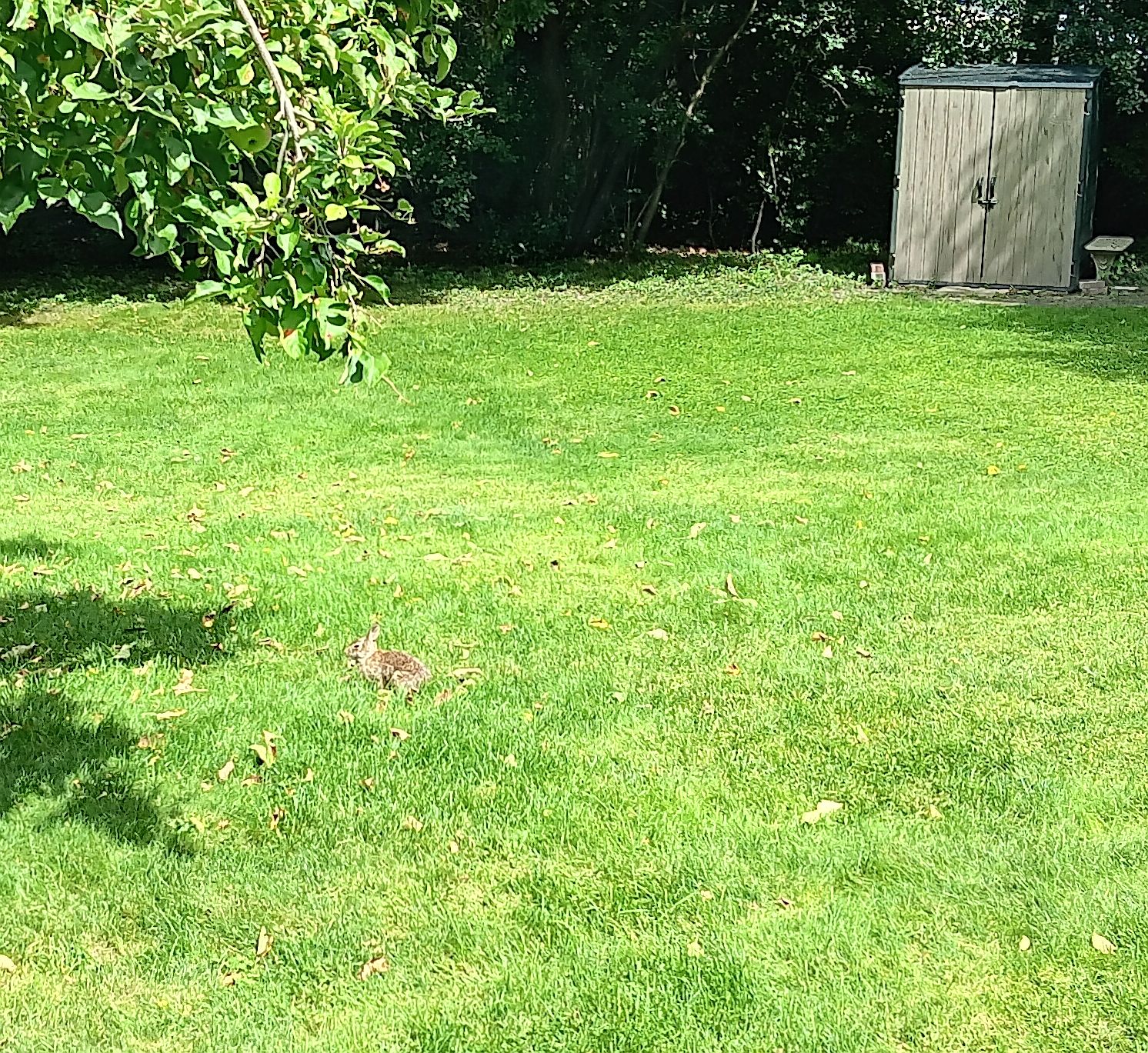 20250905_120051c.jpg