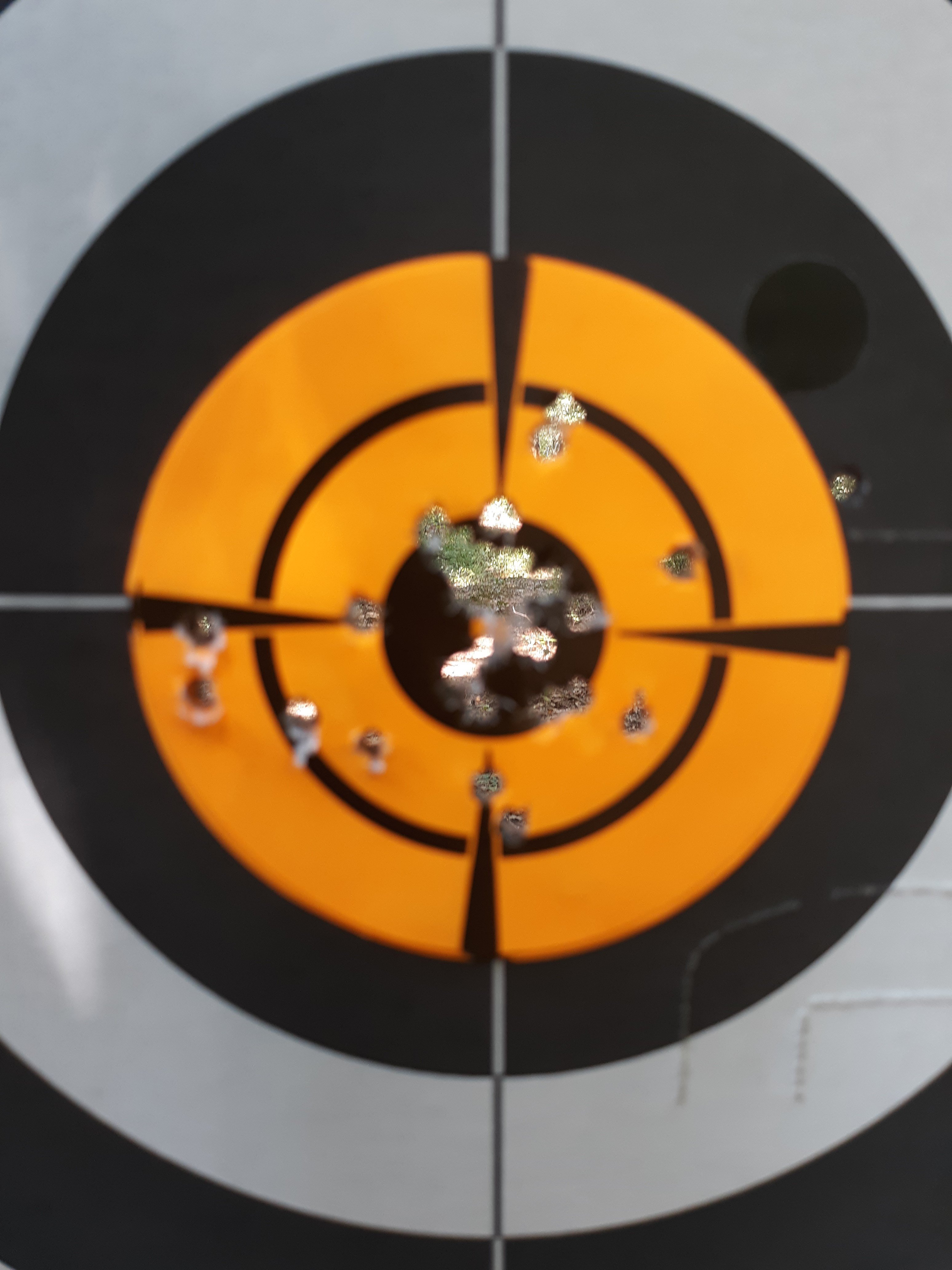 20250917_134201[1].jpg