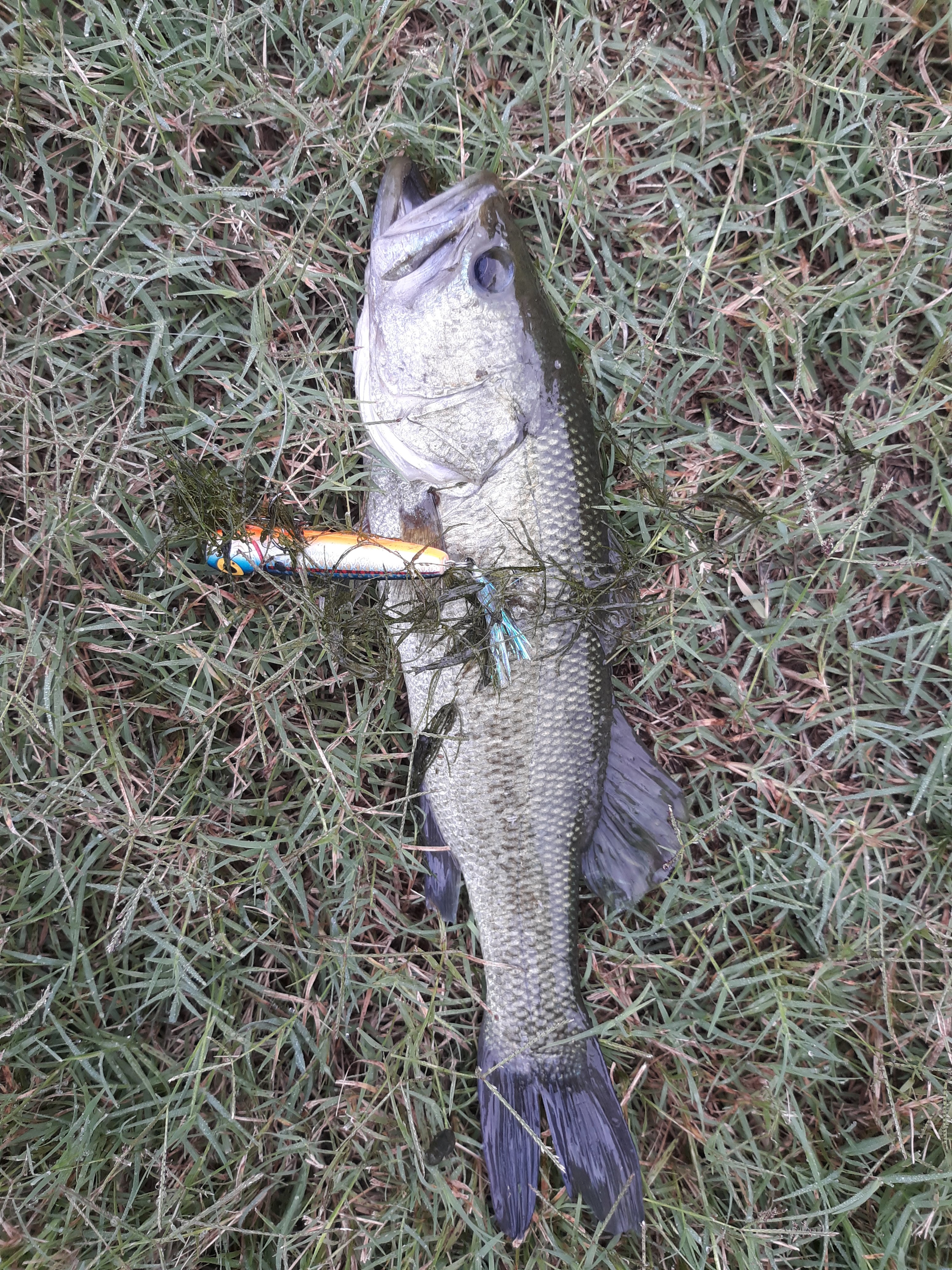 20250923_093853.jpg