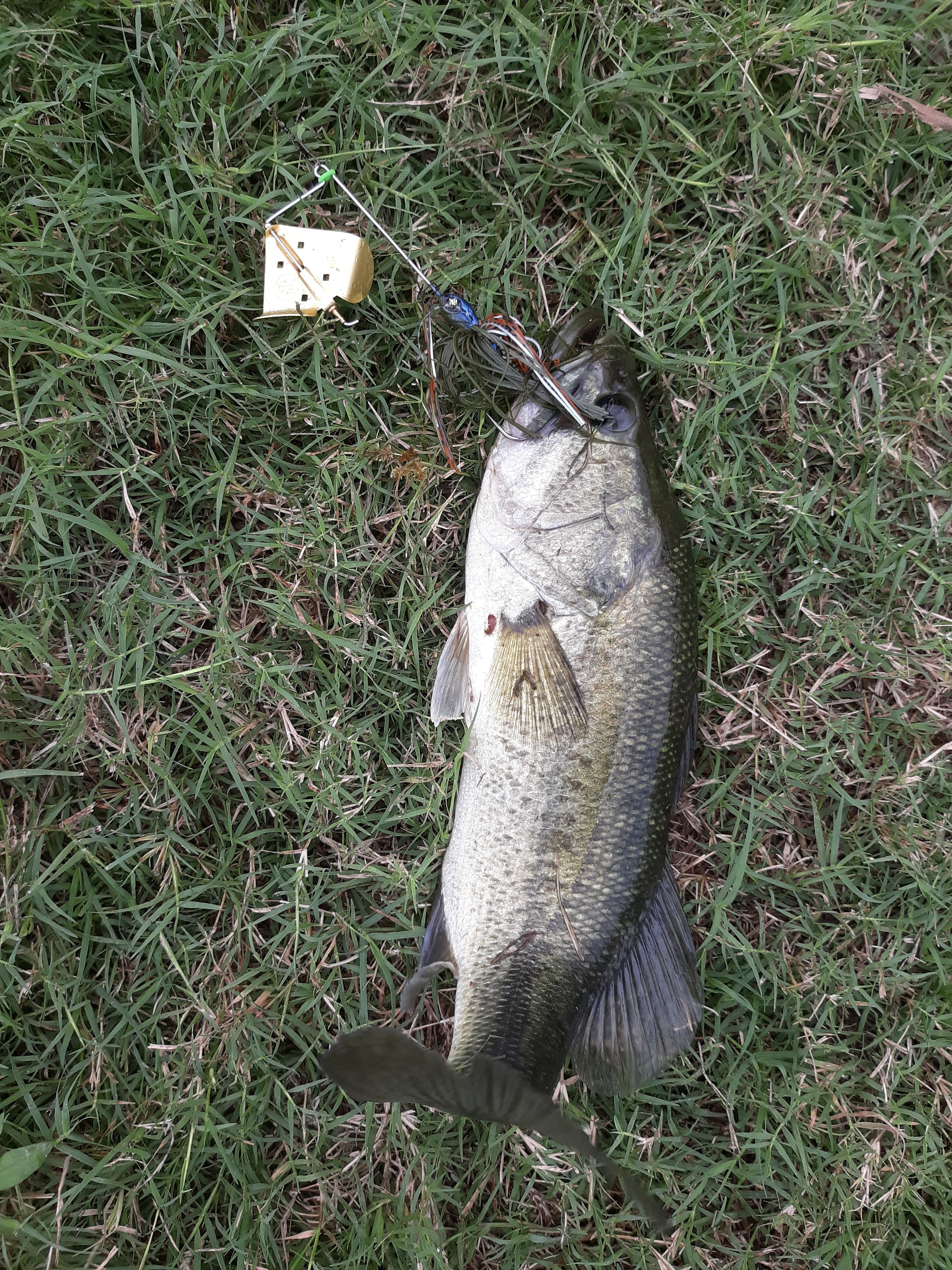 20250923_103441.jpg