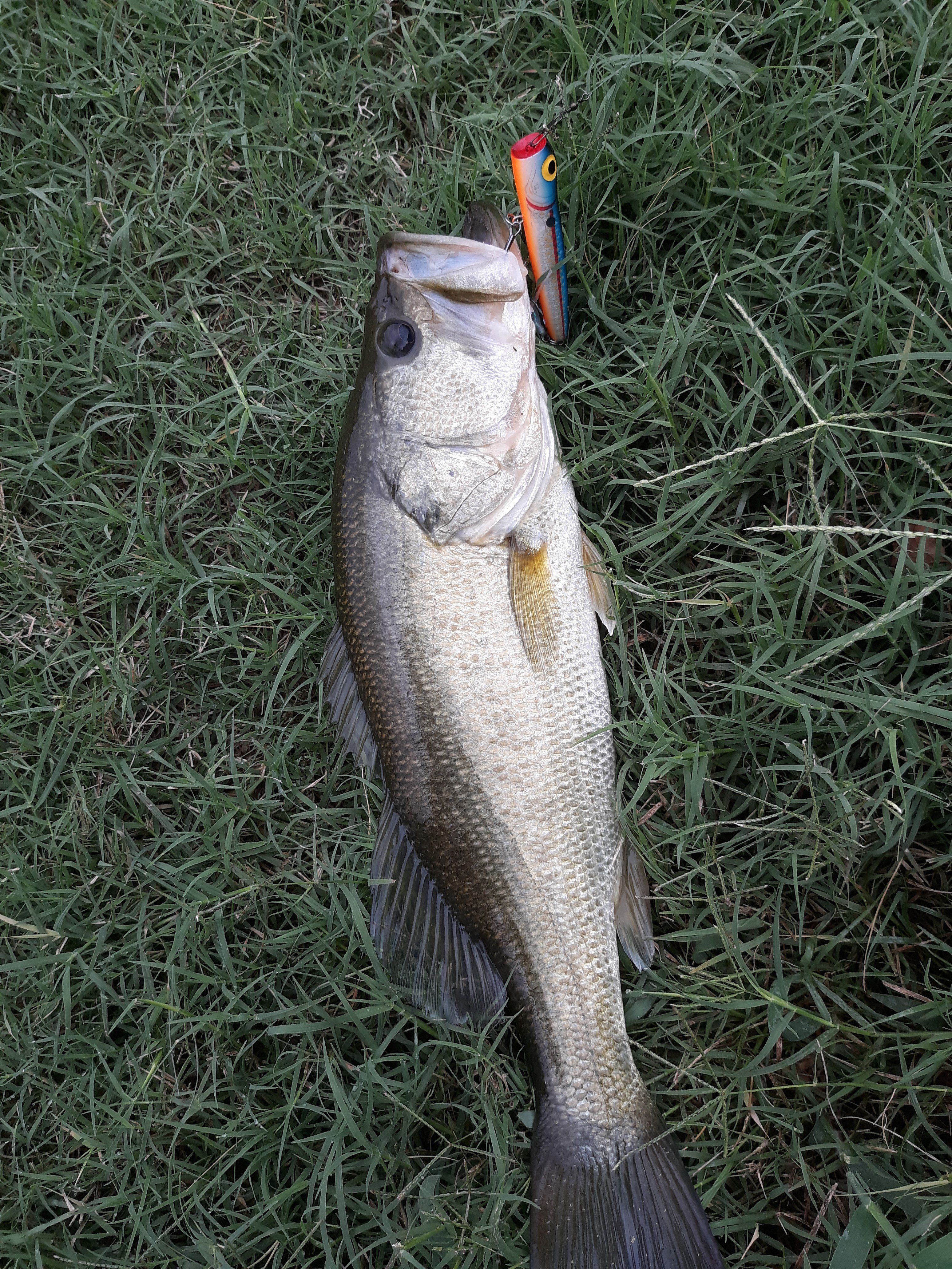 20250924_130743[1].jpg