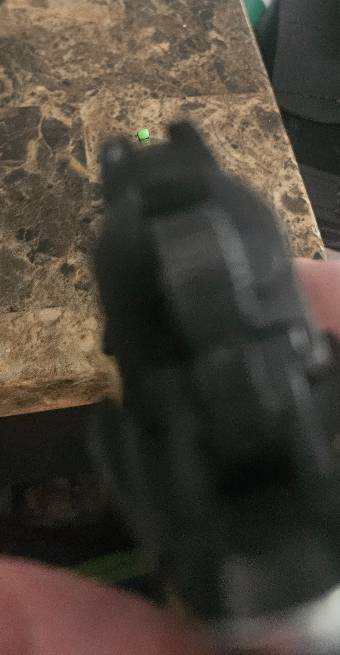 20251004_121849.jpg