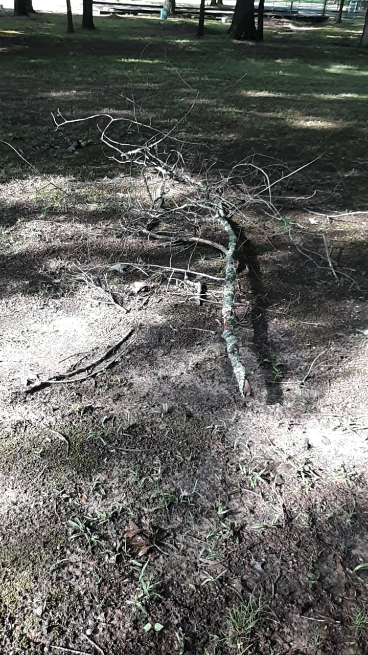20260716_085600.jpg
