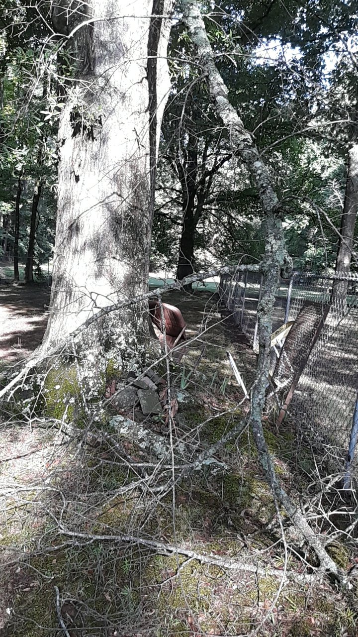 20260716_085631.jpg