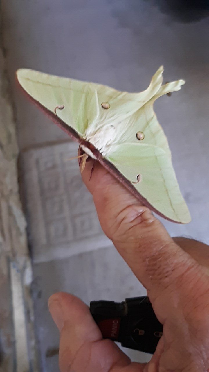 20260801_090857[1].jpg