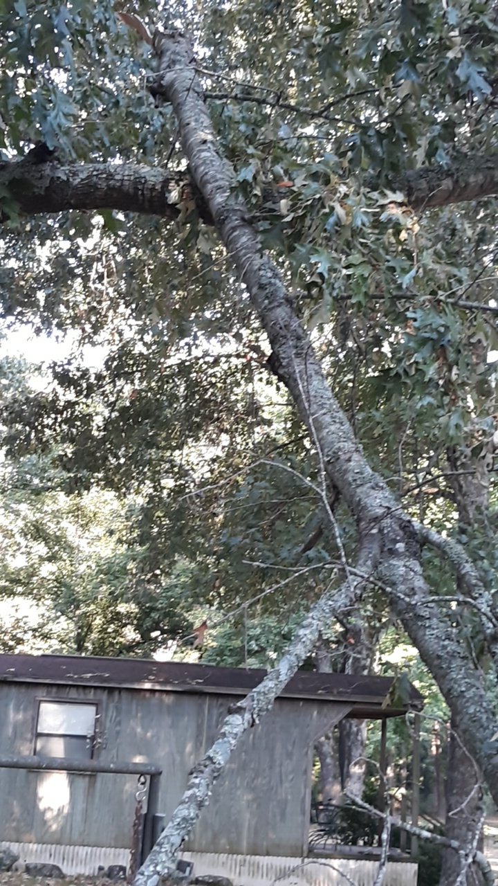 20260822_082705.jpg