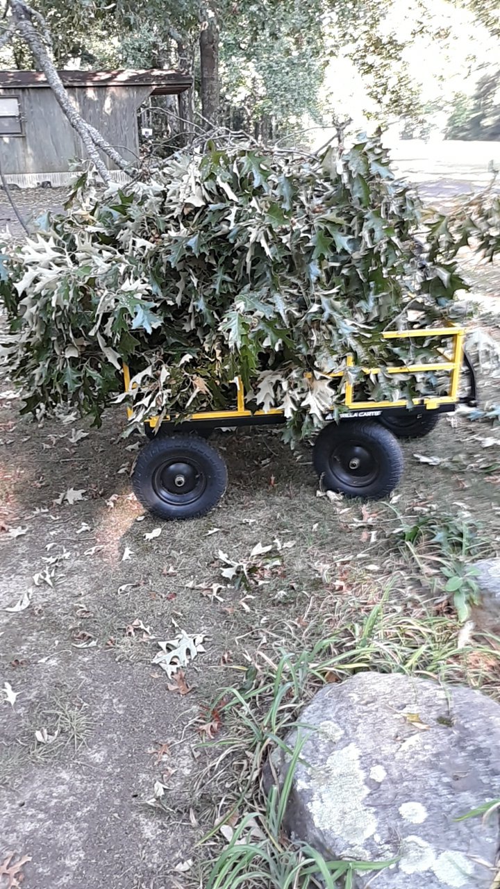 20260822_084336.jpg