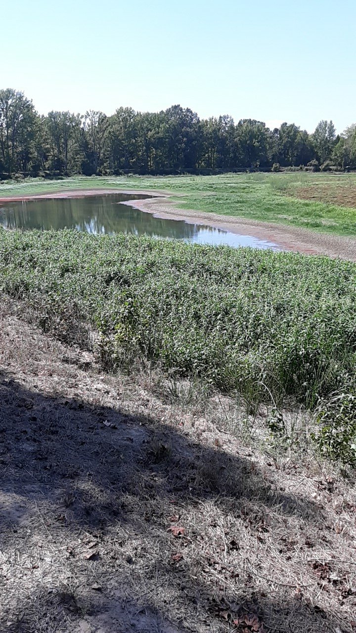 20260908_134839[1].jpg