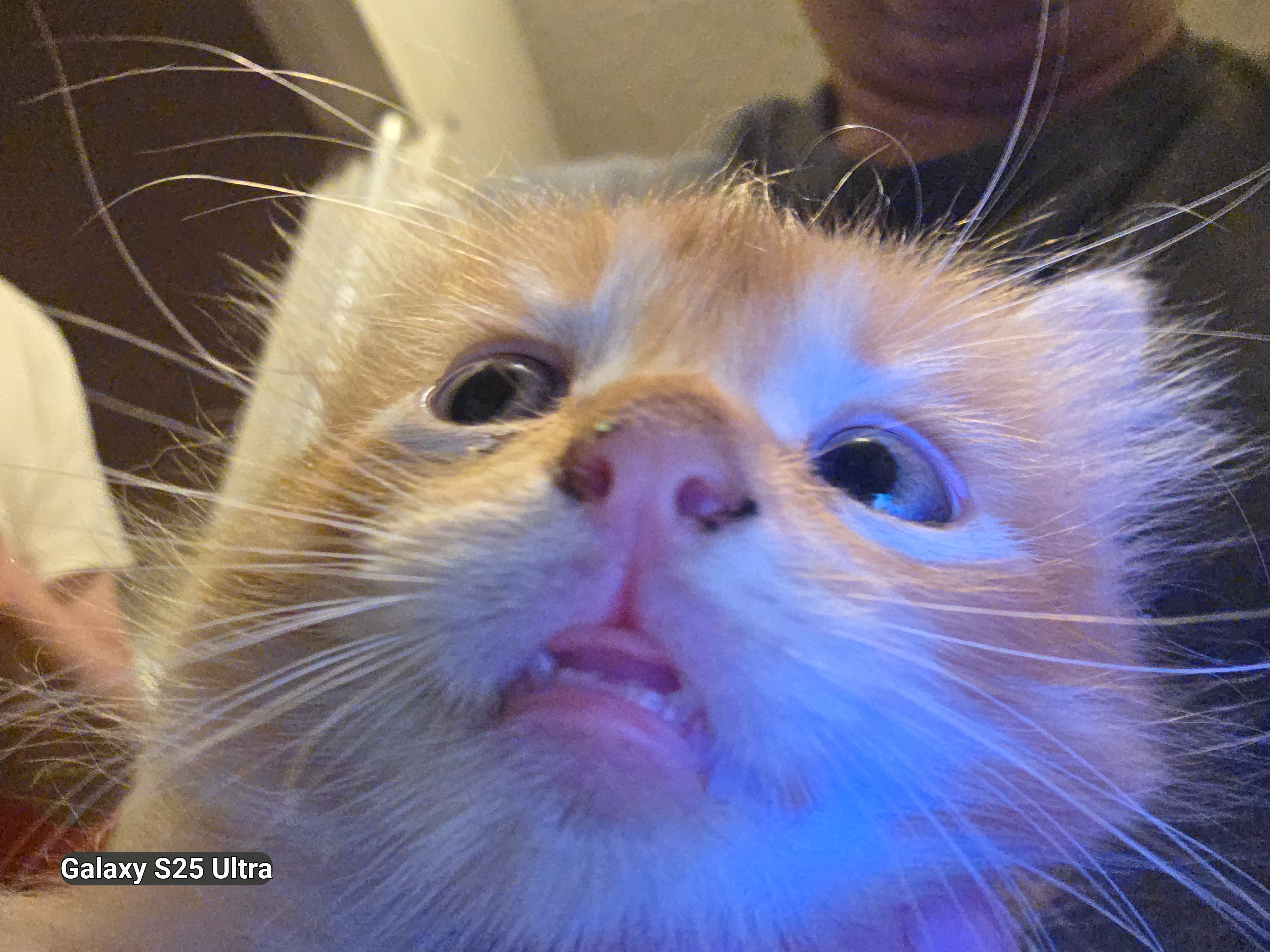 20260926_001333.jpg