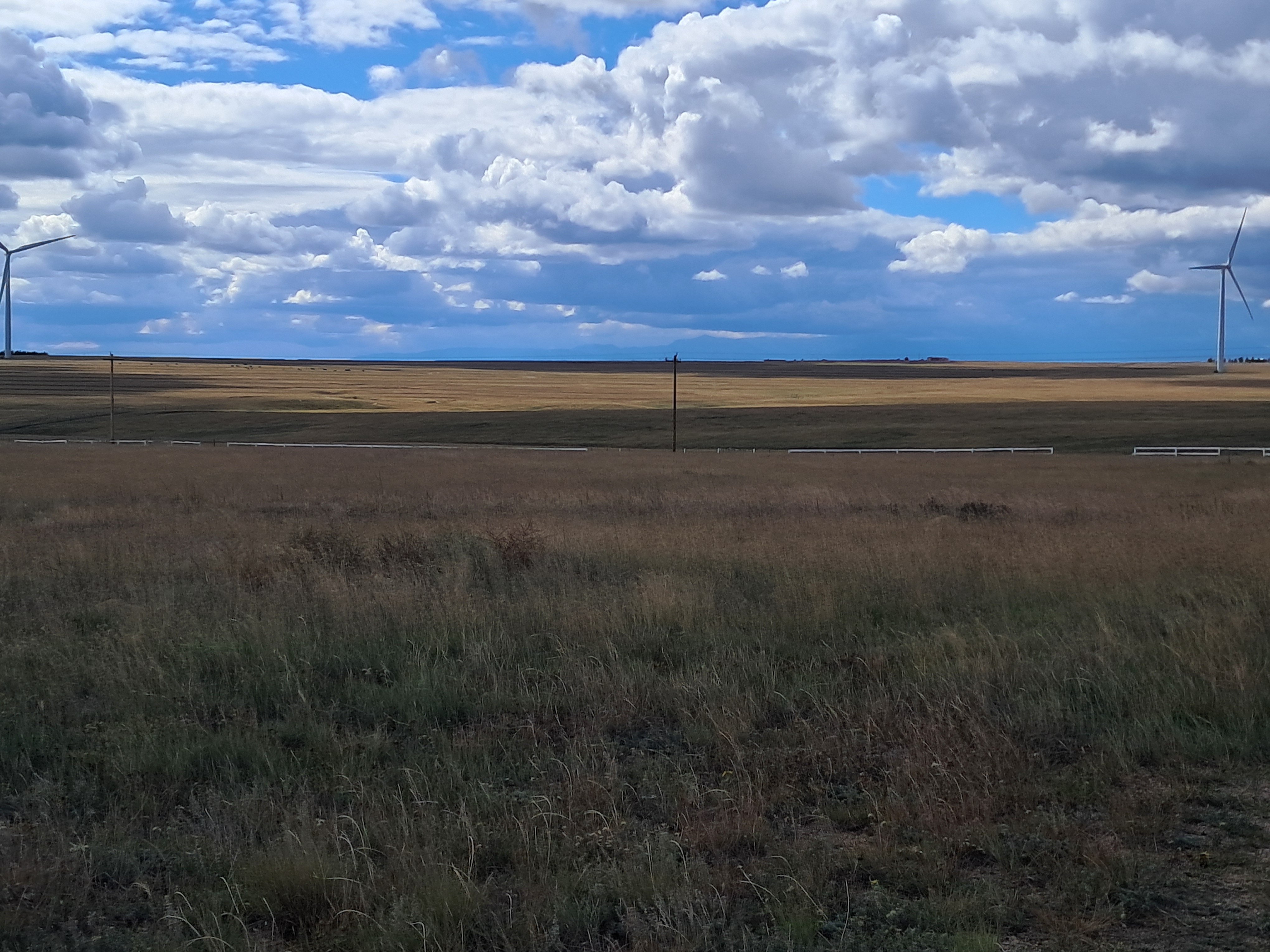 20261001_140056.jpg