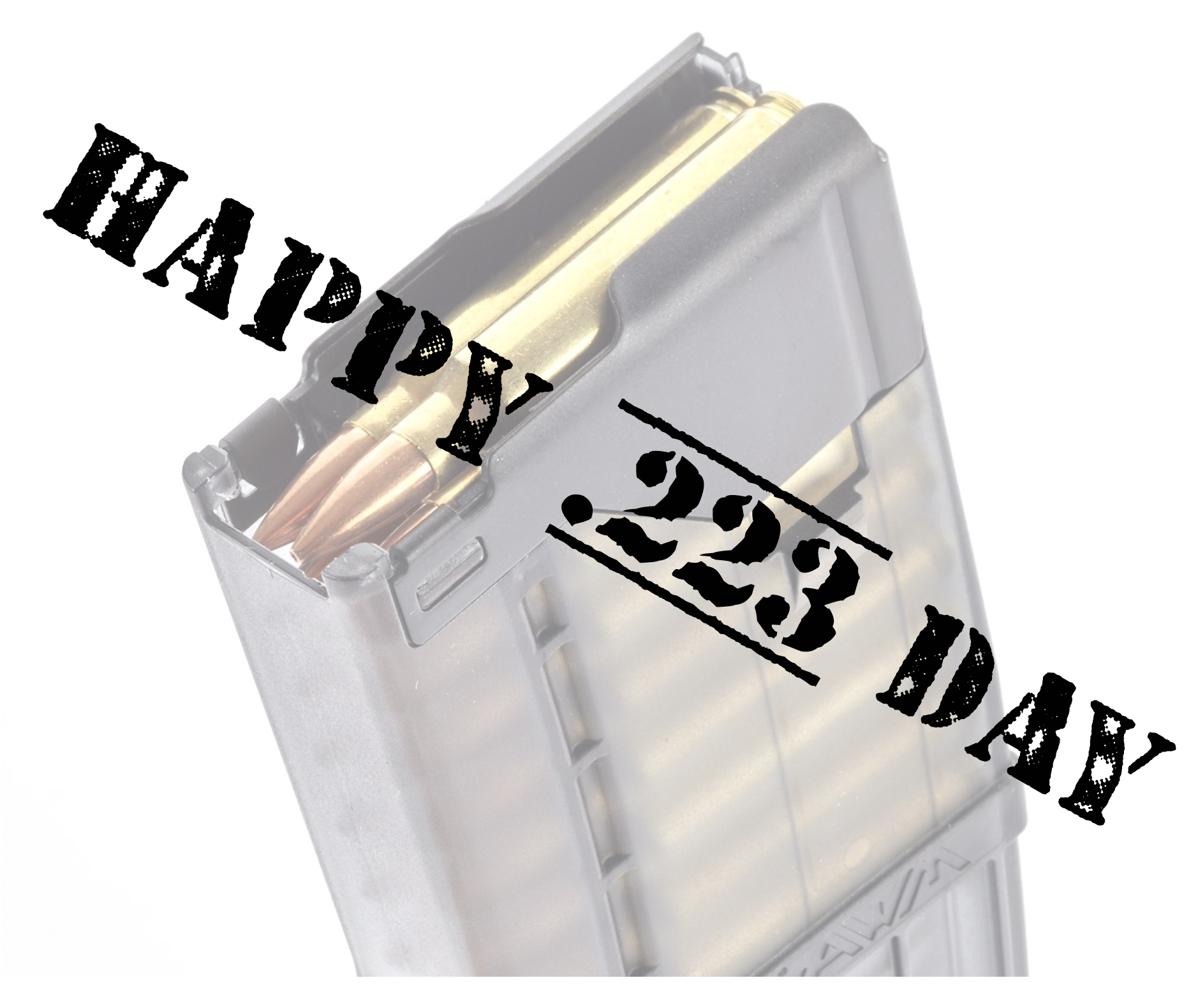 223Day.jpg
