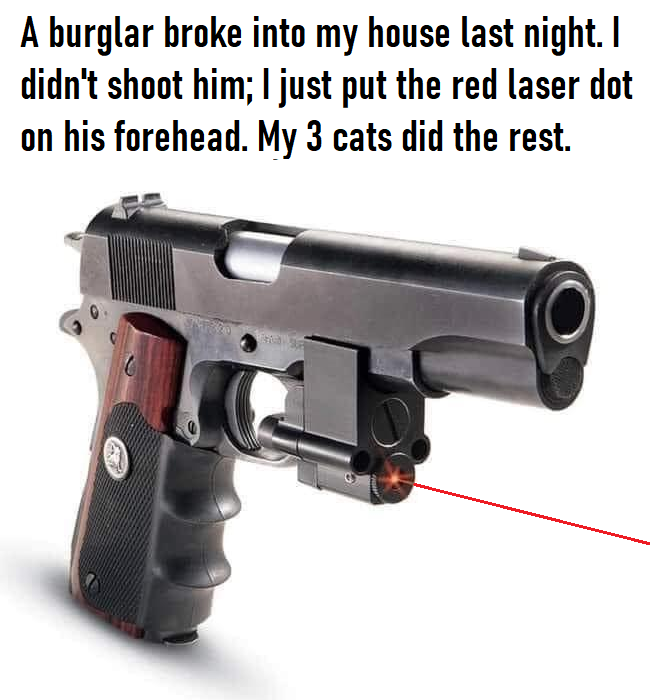 3 Cats and a Red Dot Burglar.png