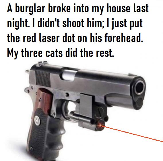 3 Cats and a Red Dot Burglar.png
