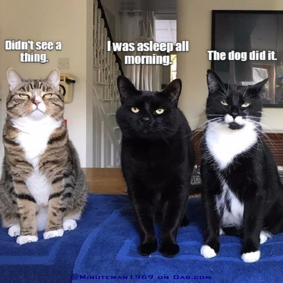 3 Non-Witnesses.png