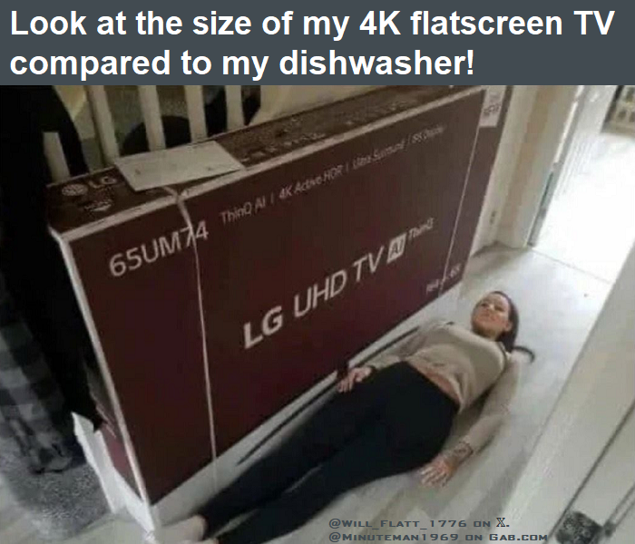 4K TV Next to Dishwasher [Woman].png