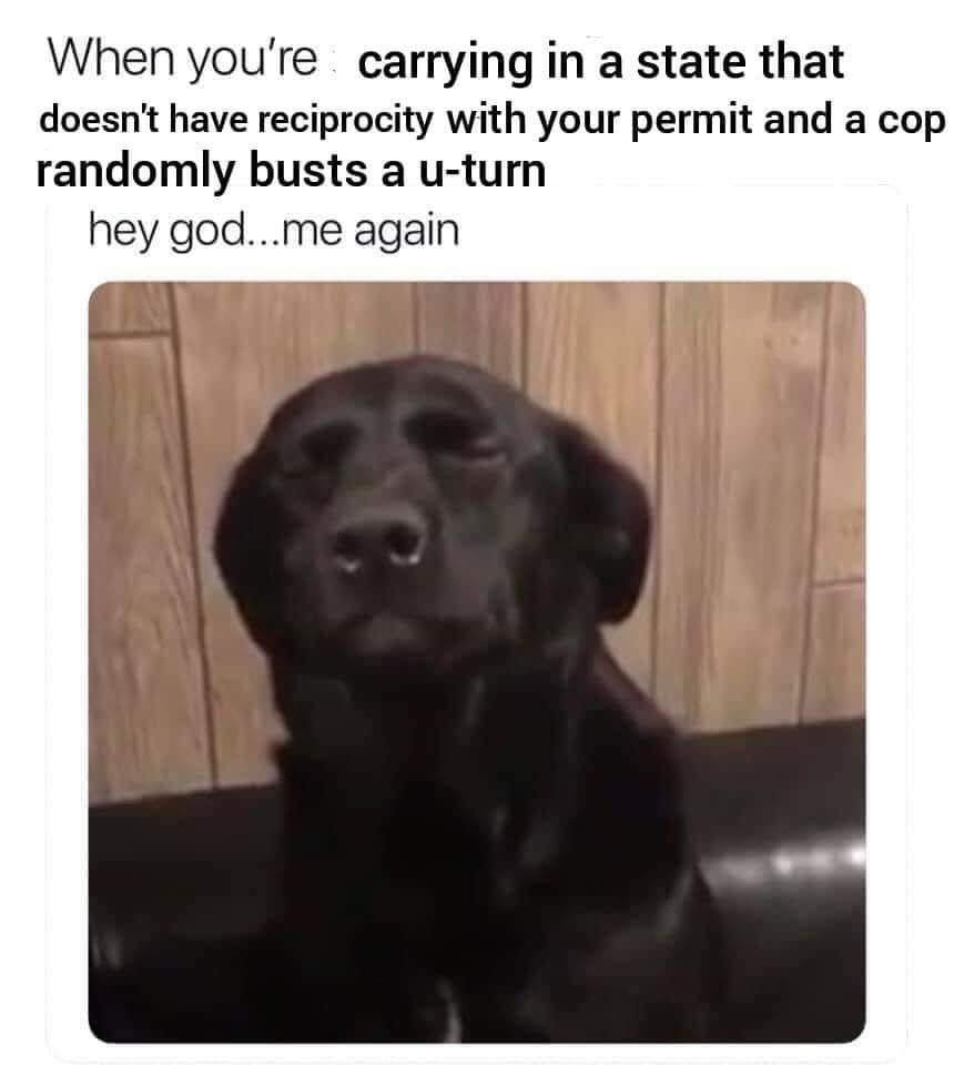 518070469_1301482001980116_167502955397524660_n.jpg