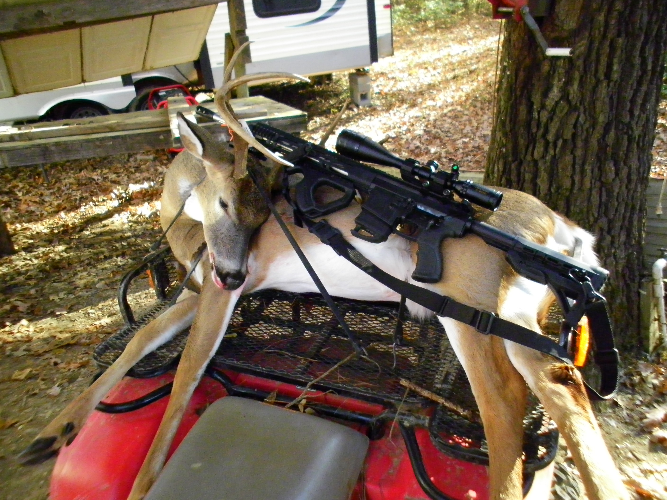 Let's see your AR setups | Page 57 | The Armory Life Forum Let's see your AR setups | Page 57 | The Armory Life Forum