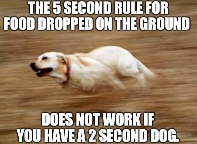 559118837_1216613683826225_2337333561116988440_n.jpg