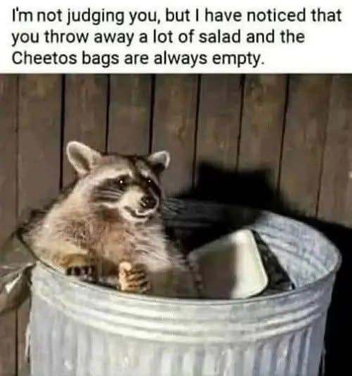 651372-d399b69477d3c377e43f2e2371cb763b.png