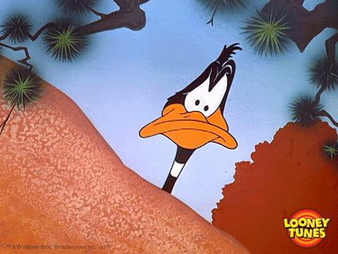 70CA49F7-94EA-40DF-BD39-8EA1D35E5E80.gif