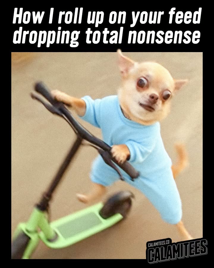 730497997_925447533889779_261850556019618590_n.jpg