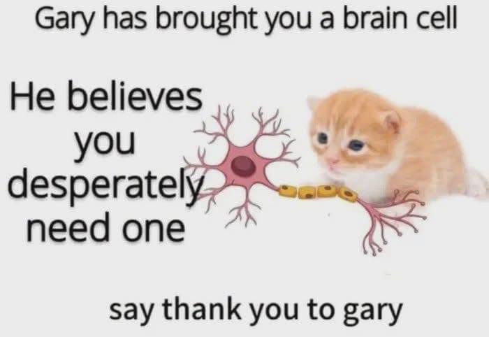 734783681_1495976242209918_4747220385969351384_n.jpg