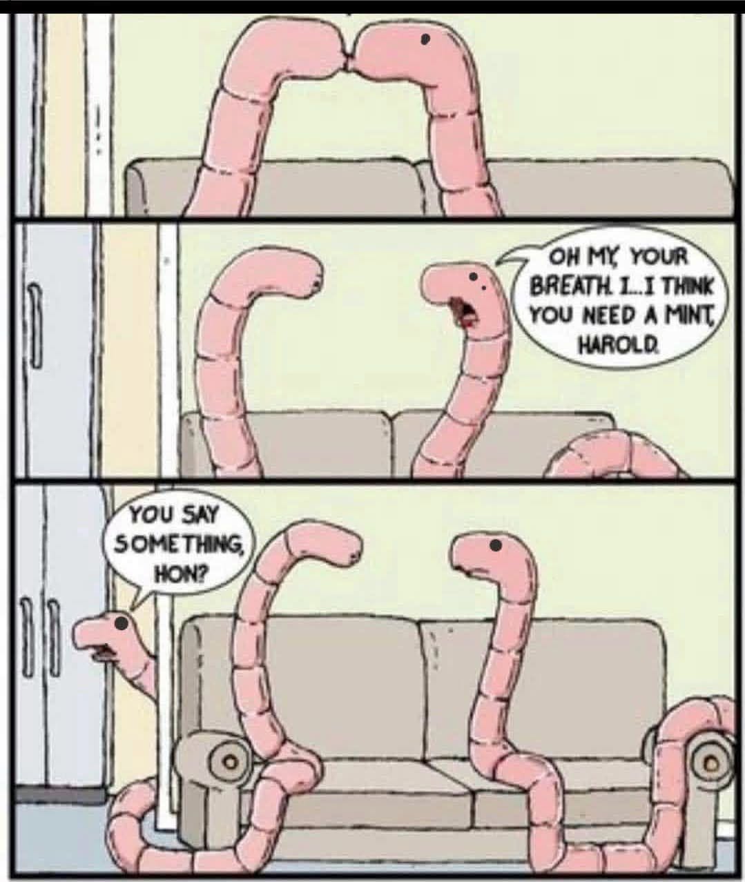 737422339_10233705736253417_9016934819851507957_n.jpg