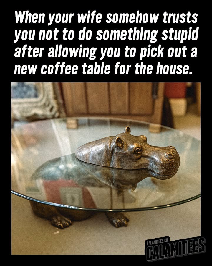 739335433_2087449905317663_2481695468082935109_n.jpg