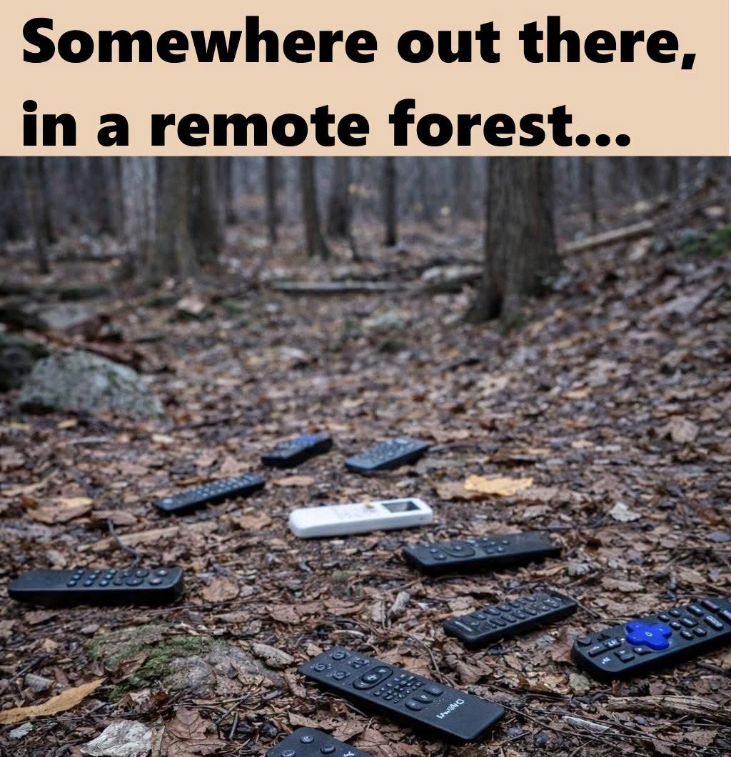 746742944_1780627603307670_7740447839984664530_n.jpg