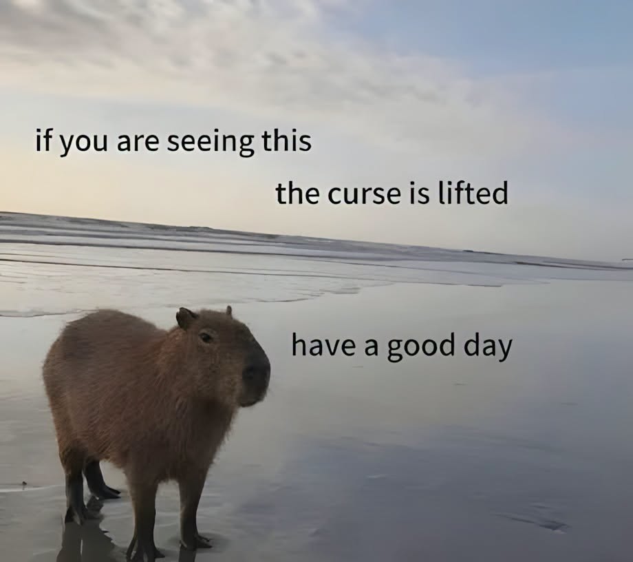 752972965_1936474277741069_5932836083241831751_n.jpg